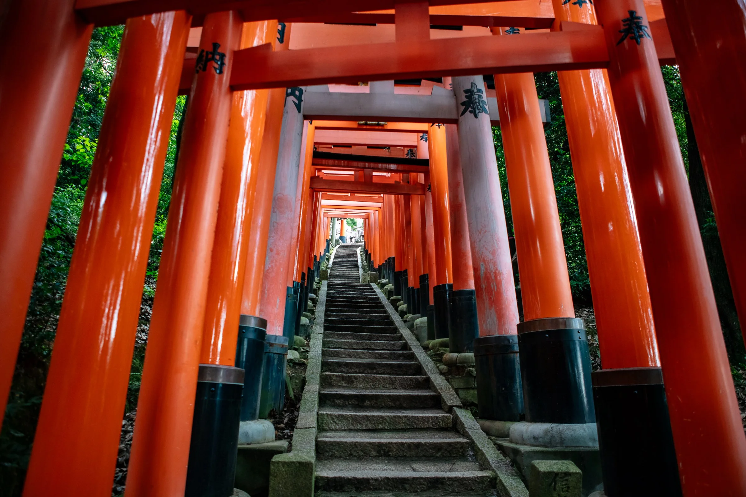 Fushimi Inari in the early morning before crowds