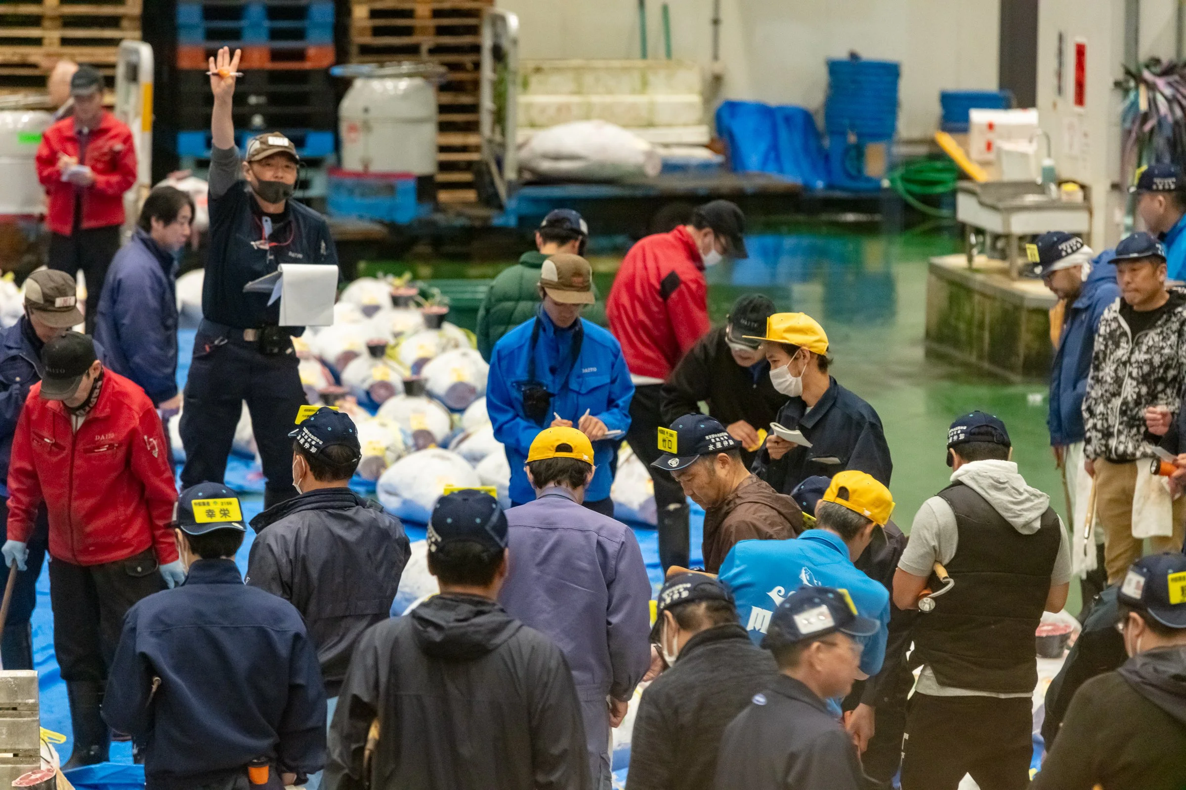 Tsukiji tuna auction floor Tokyo Japan early morning wholesale market