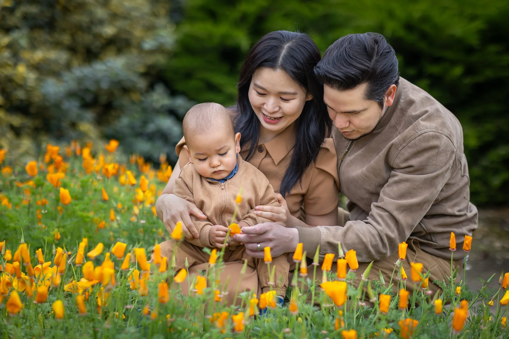 Family of three with their baby exploring California poppies during an outdoor Bay Area portrait session