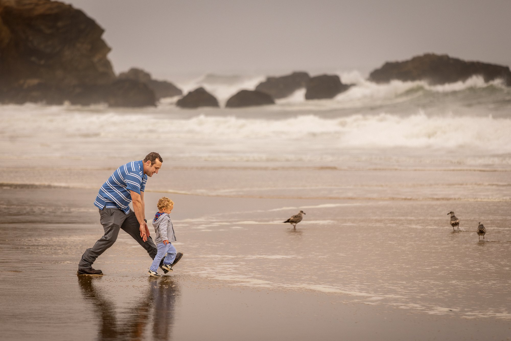 Father and young child walking together on a Bay Area beach near shorebirds during a coastal family photography session