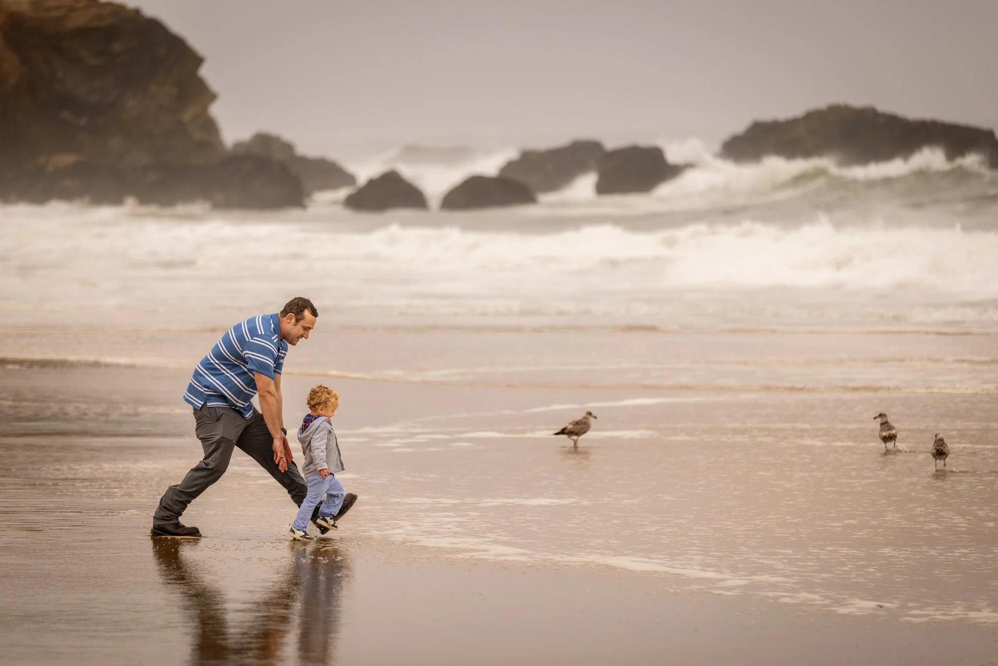 A man and a child walk along the beach, with seagulls nearby and large rocks in the ocean in the background.