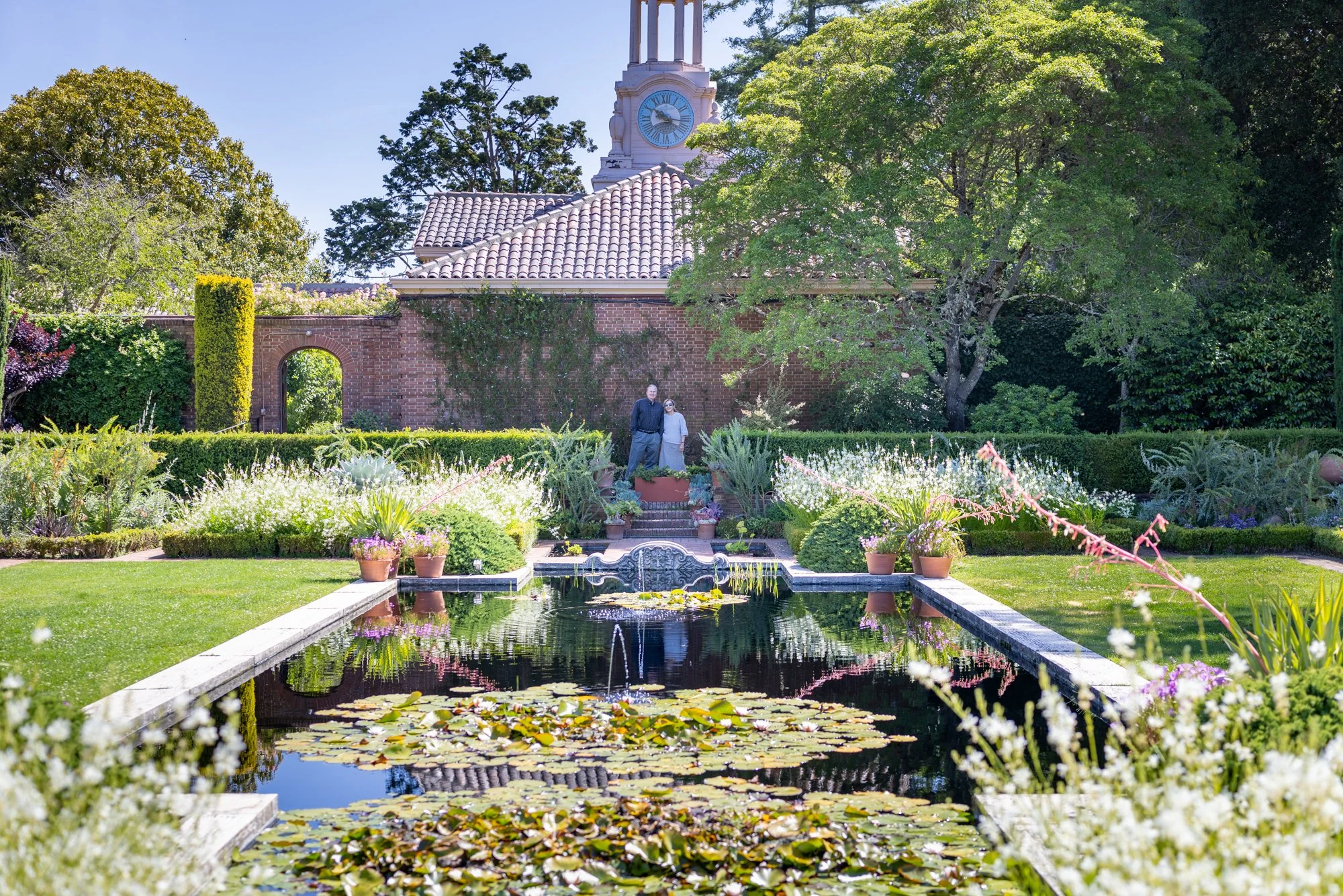 Couple at reflecting pool at Filoli Gardens