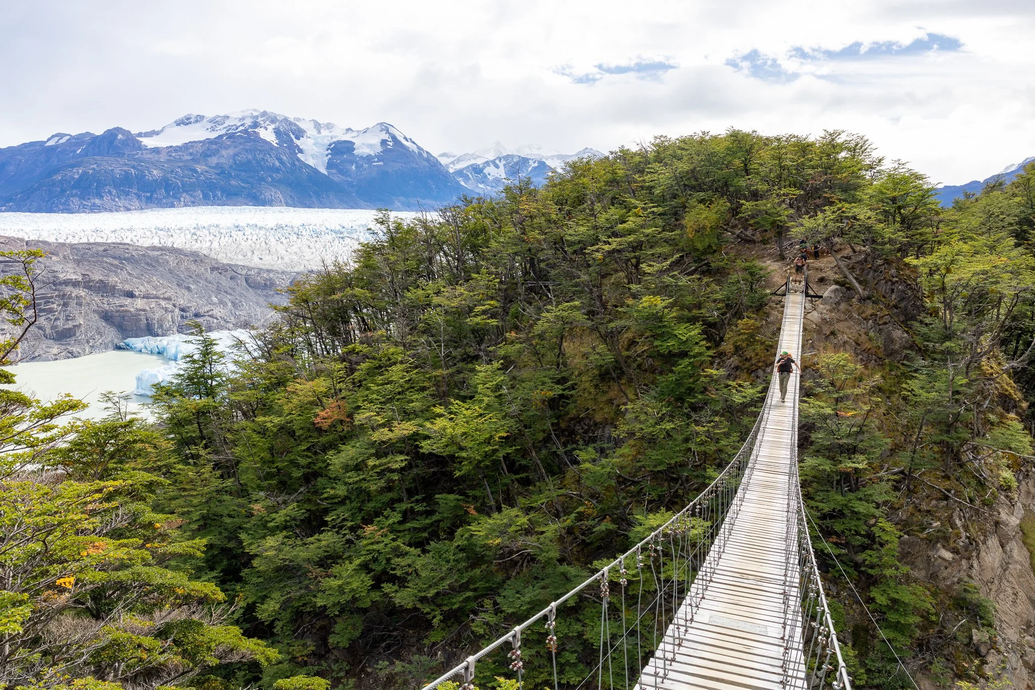 Trekker crossing long suspension bridge high above river gorge with Glacier Grey and snow-capped mountains visible through forest canopy, Torres del Paine