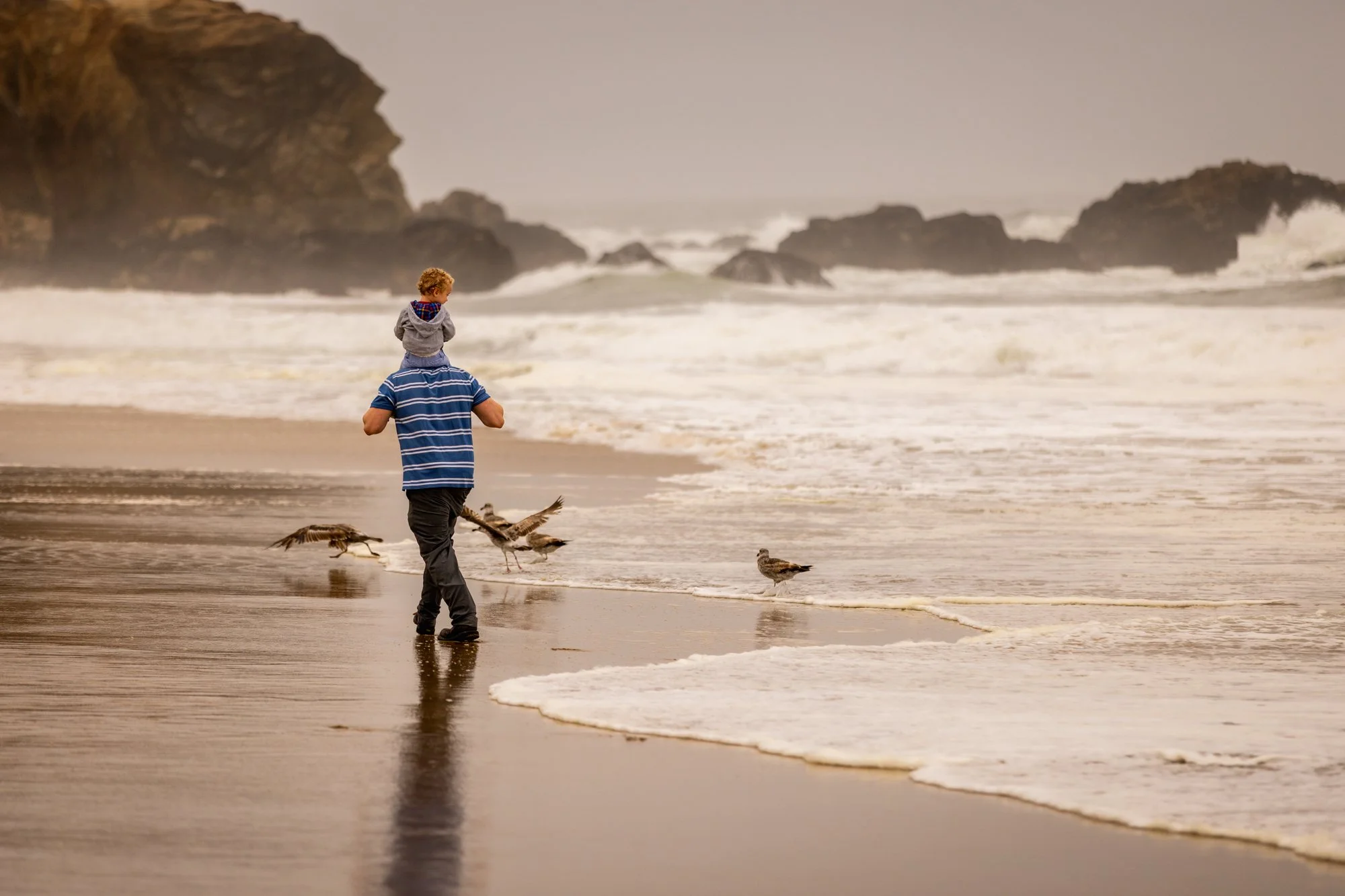 A man carrying a young child on his shoulders walking along the beach with a flock of shorebirds at water's edge. The background shows rocky cliffs and an overcast sky.