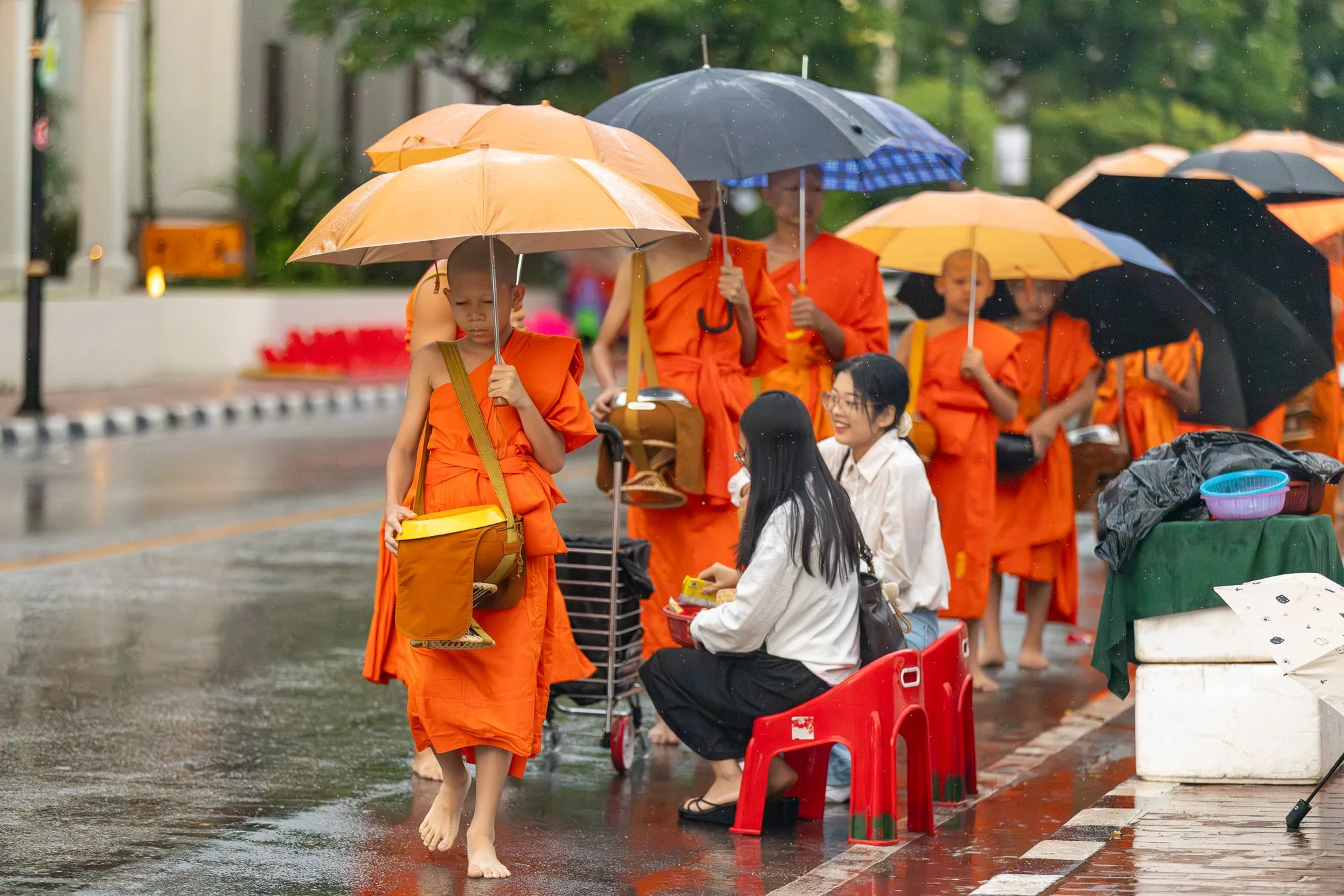Residents offering sticky rice to a line of novice monks at dawn, Luang Prabang alms round