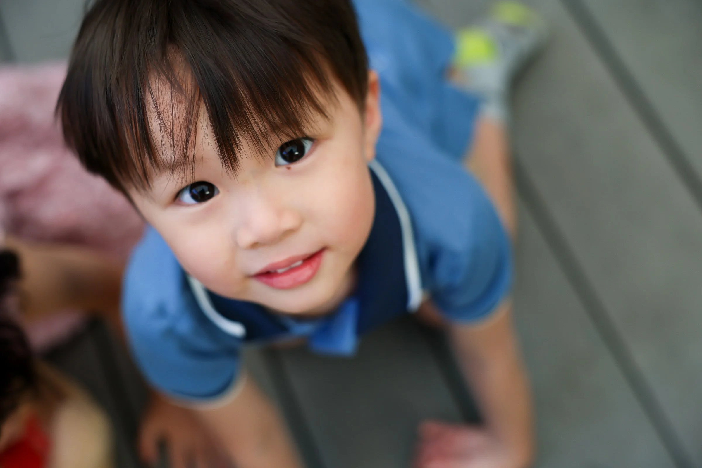 Bay Area Adventure Family Photography - A young boy with dark hair and brown eyes, looking up at the camera with a smile, wearing a blue shirt with white trim.