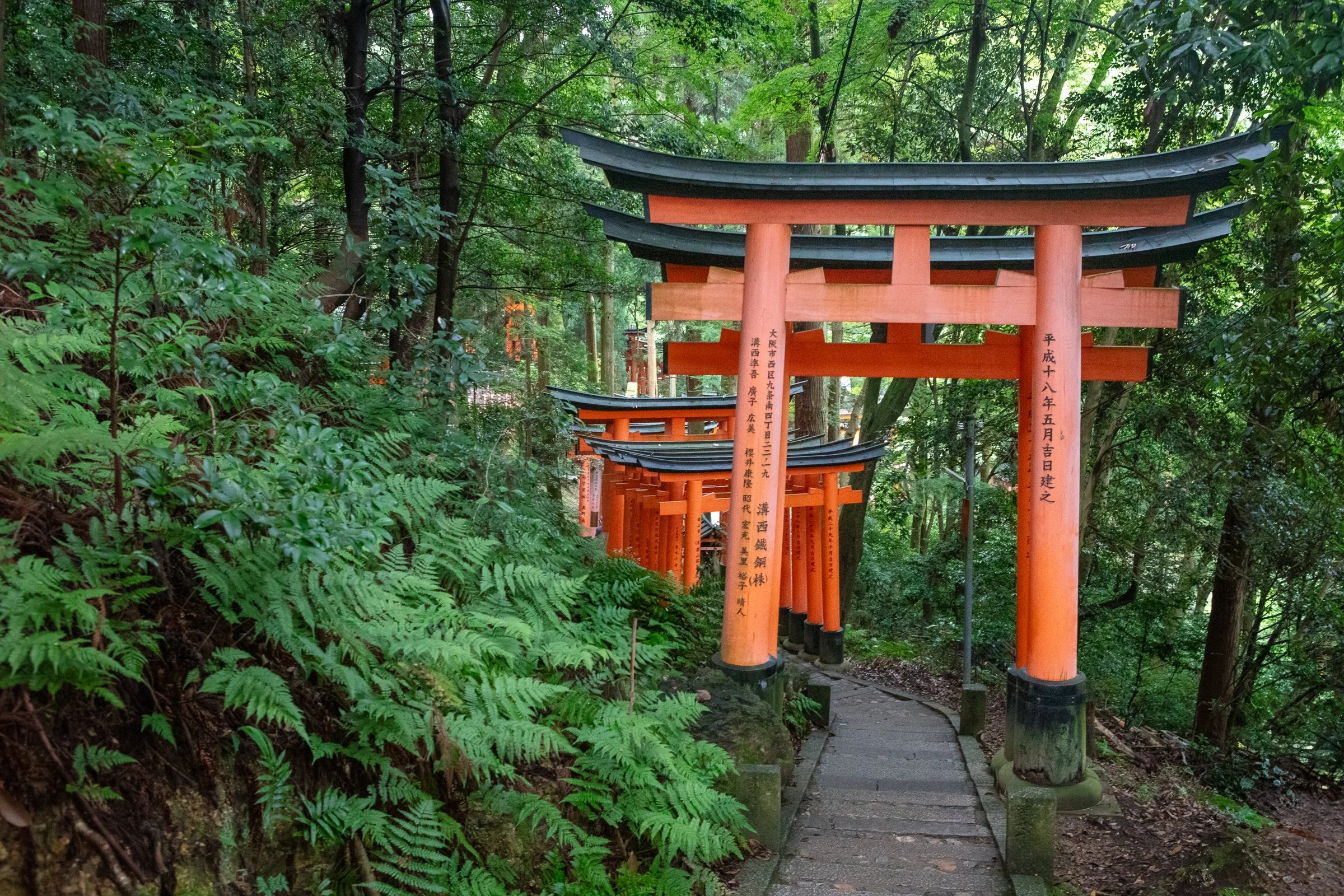 Fushimi Inari torii gates tunnel staircase ascending Kyoto Japan