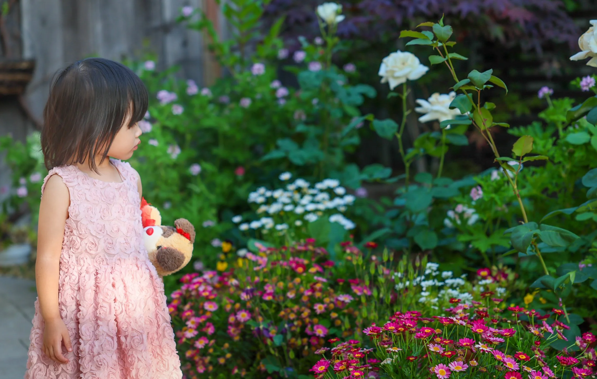 Toddler in pink dress standing among colourful flower beds at a Bay Area outdoor family photography session