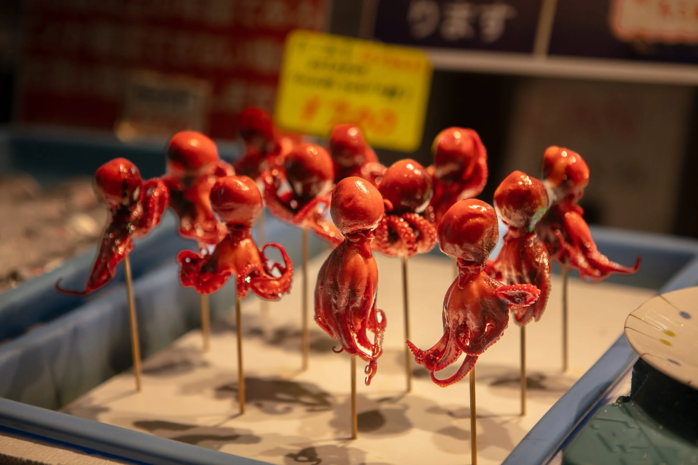 Baby octopus skewers Tsukiji outer market Tokyo Japan street food