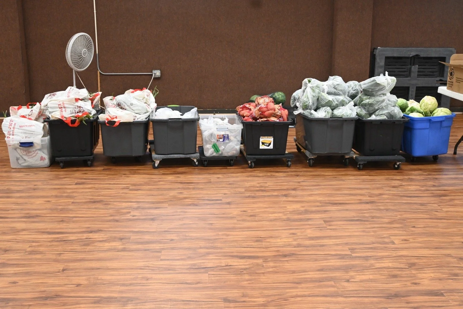 Multiple bins filled with vegetables and other items in a room with wooden flooring.