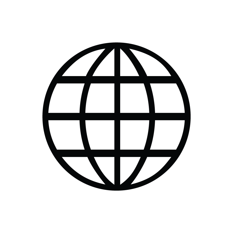 Icon of a globe representing the internet or world connectivity.