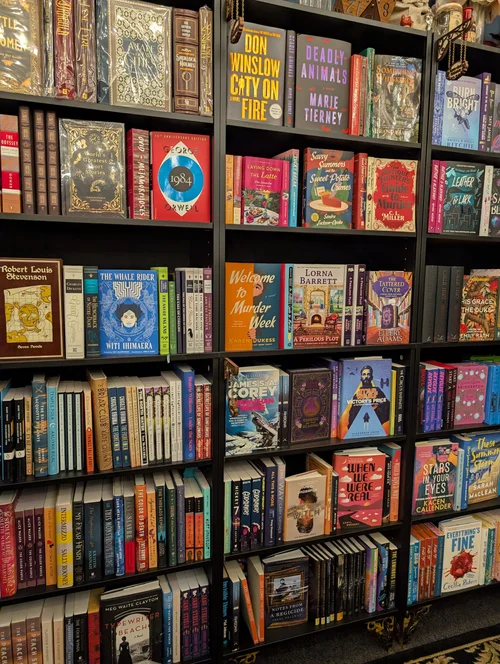 Bookshelves at The Gilded Page in Kansas City