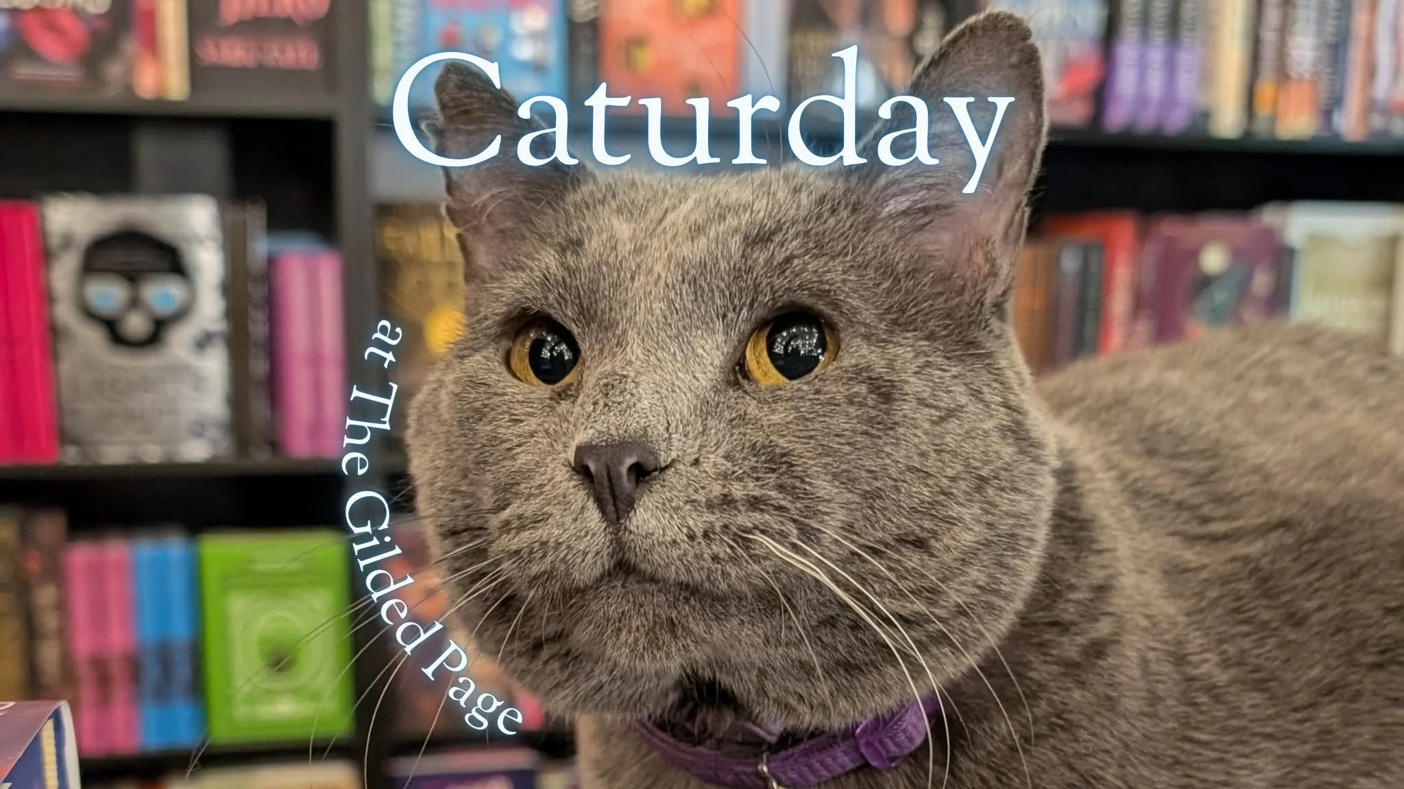 Caturday