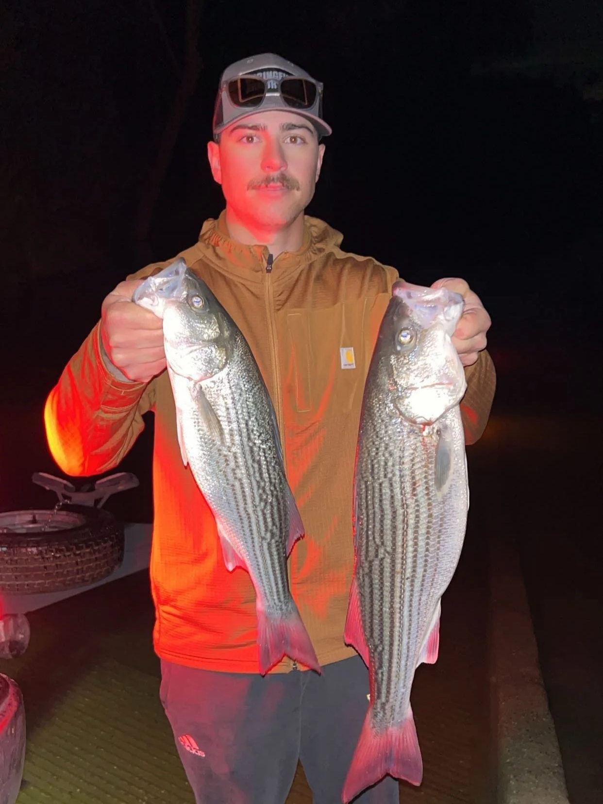 A man holding two large striped bass fish, one in each hand, during nighttime. He is wearing a brown jacket, a cap, and sunglasses on his head.