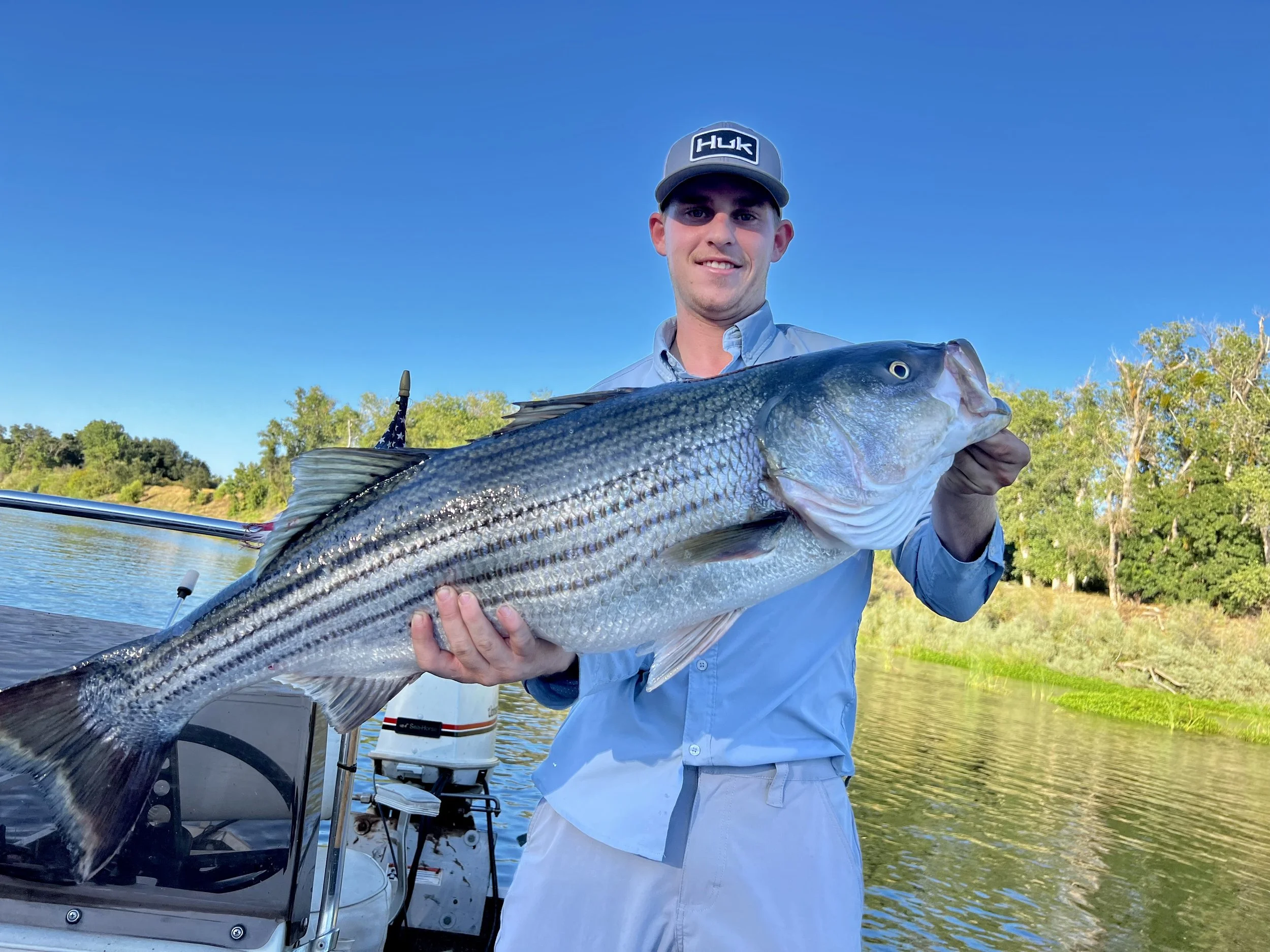Young man in a light blue shirt and gray cap holding a large striped fish on a boat by a river with green trees in the background.