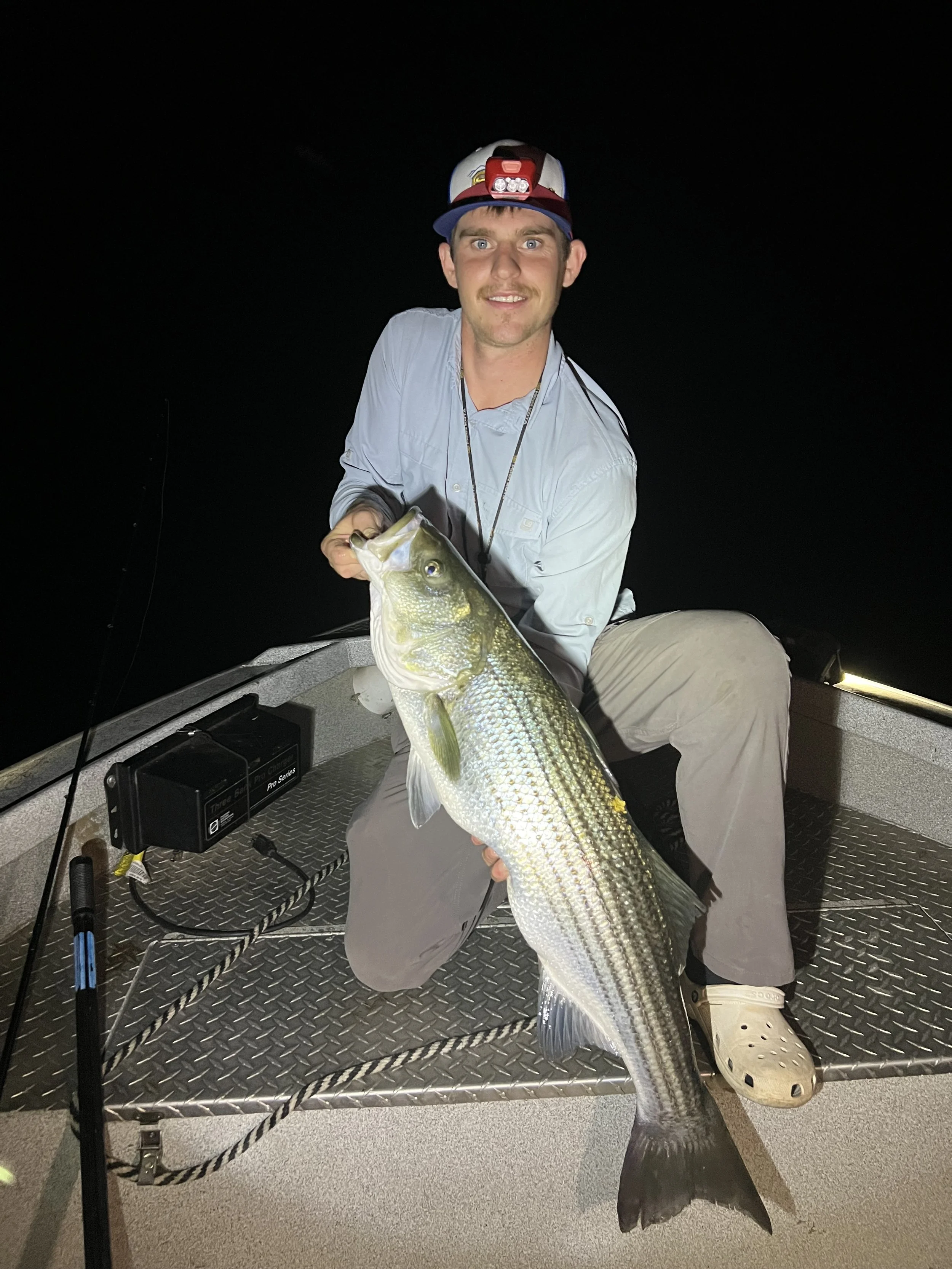 A man on a boat at night holding a large striped bass fish he caught.