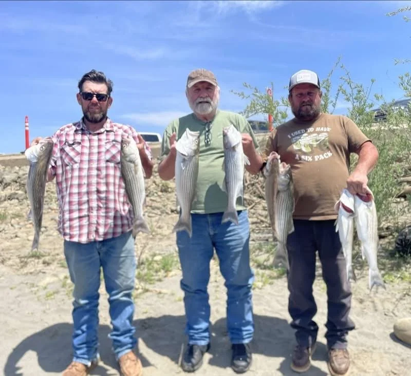 Three men standing on a beach holding large fish they caught.