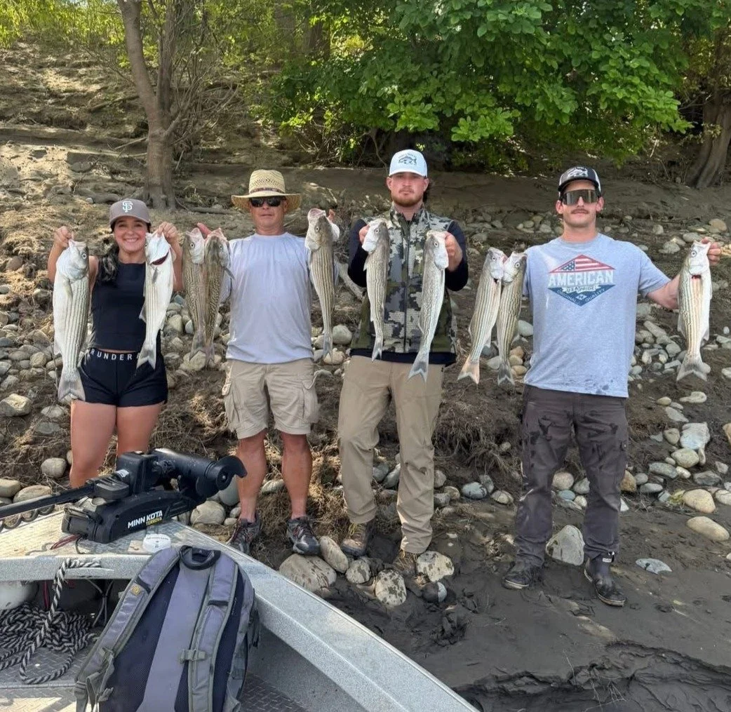 Four people standing on a rocky bank holding several large striped fish they caught, with a boat and fishing gear in the foreground, and trees in the background.