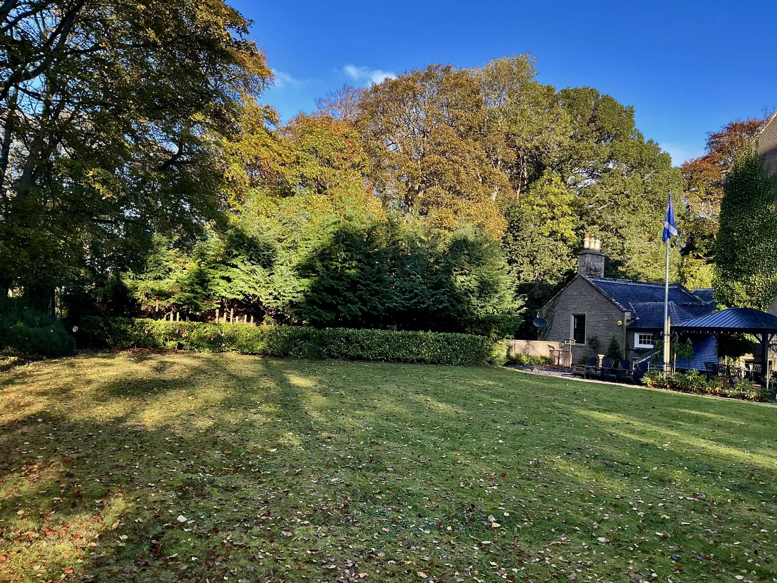 Large grassy backyard with trees and bushes, a house with a chimney, blue flag, deck area, and outdoor furniture, under a partly cloudy sky.