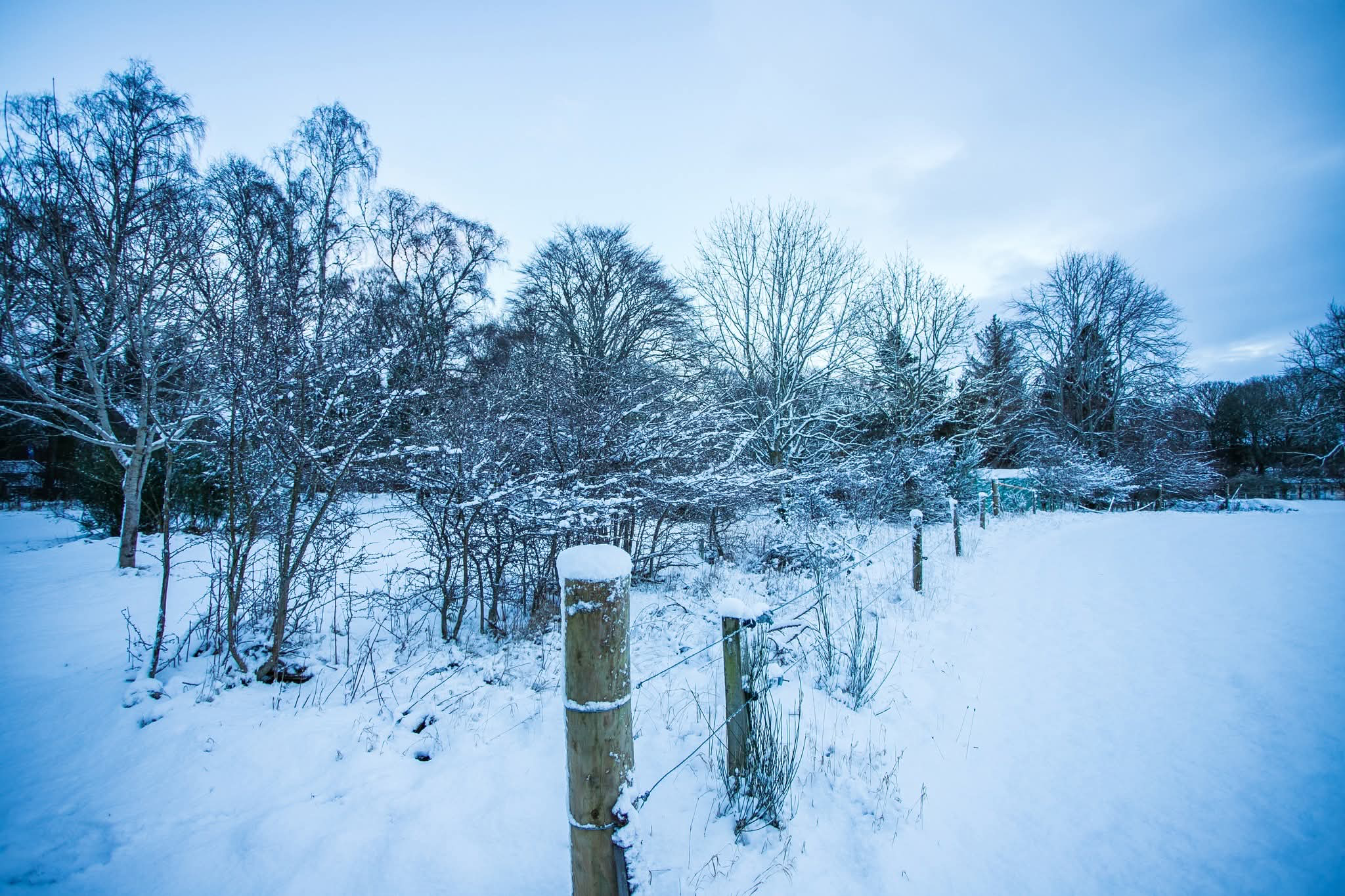 Snow-covered landscape with trees and a wire fence in the foreground, under a blue sky with clouds.