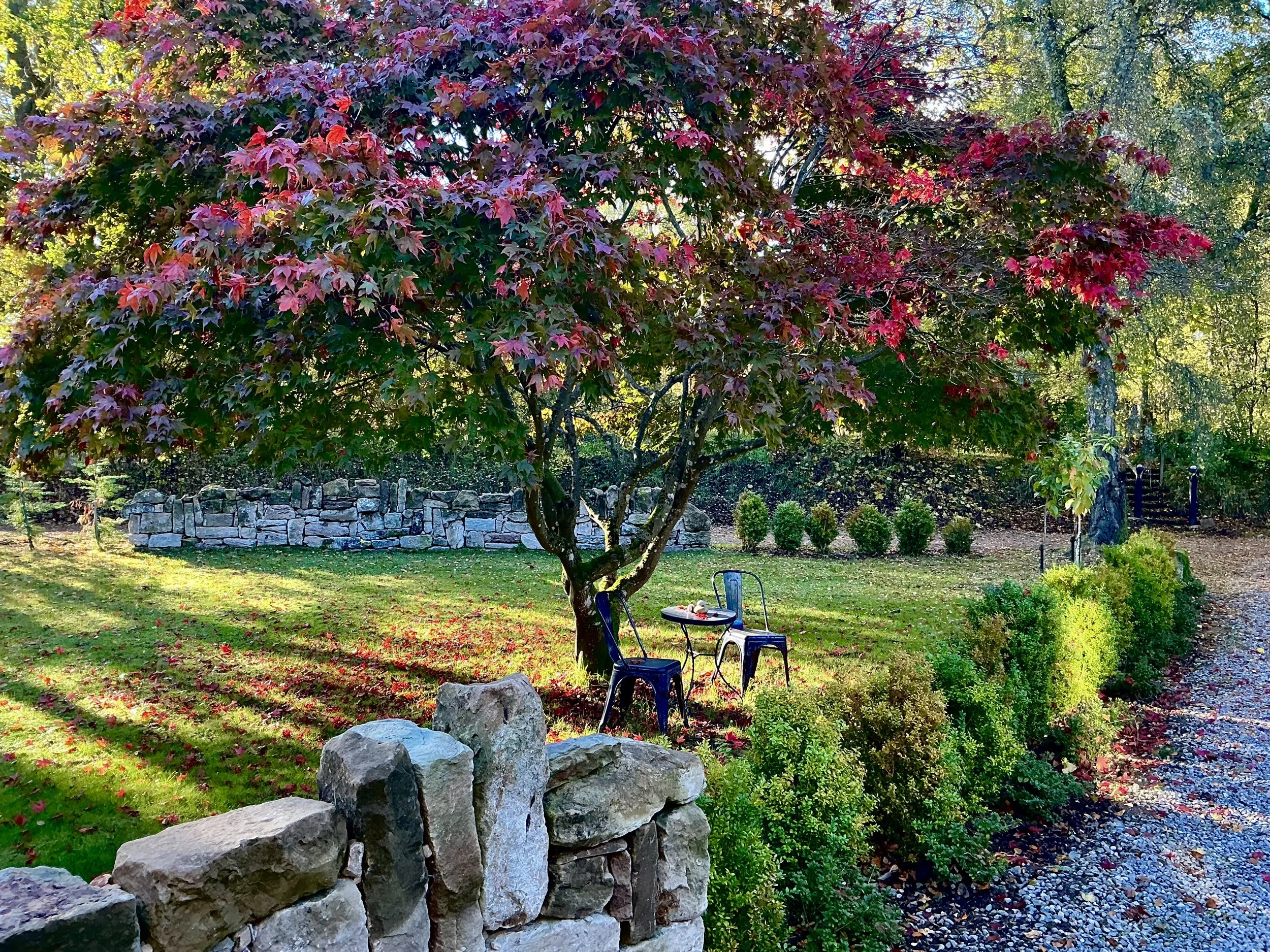 A scenic garden with a large tree with red and purple leaves, two metal chairs and a small table underneath, a stone wall in the background, and a gravel pathway on the right. Sunlight filters through, casting shadows on the grass.