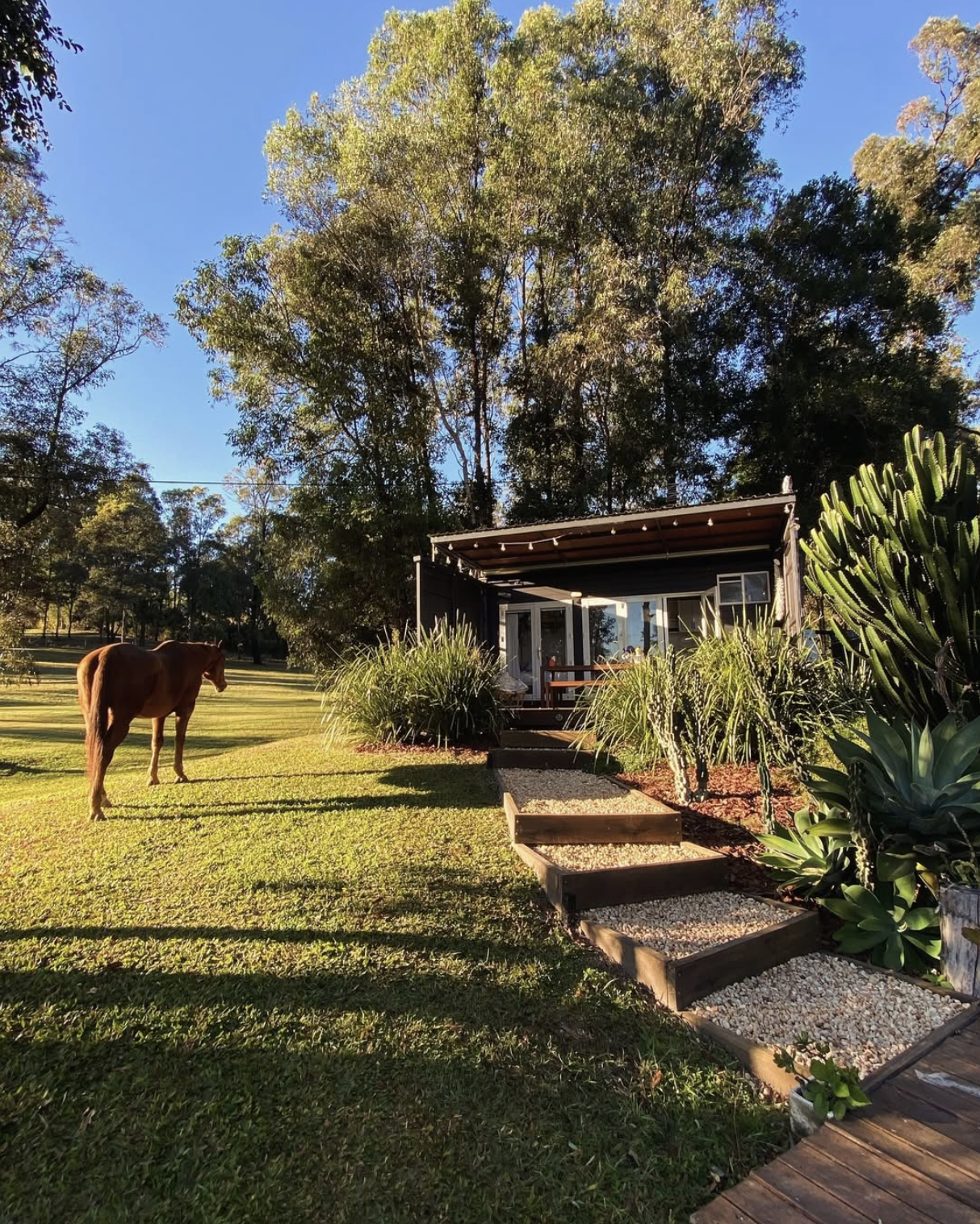 Gympie Growers: Haruha Ridge Farm