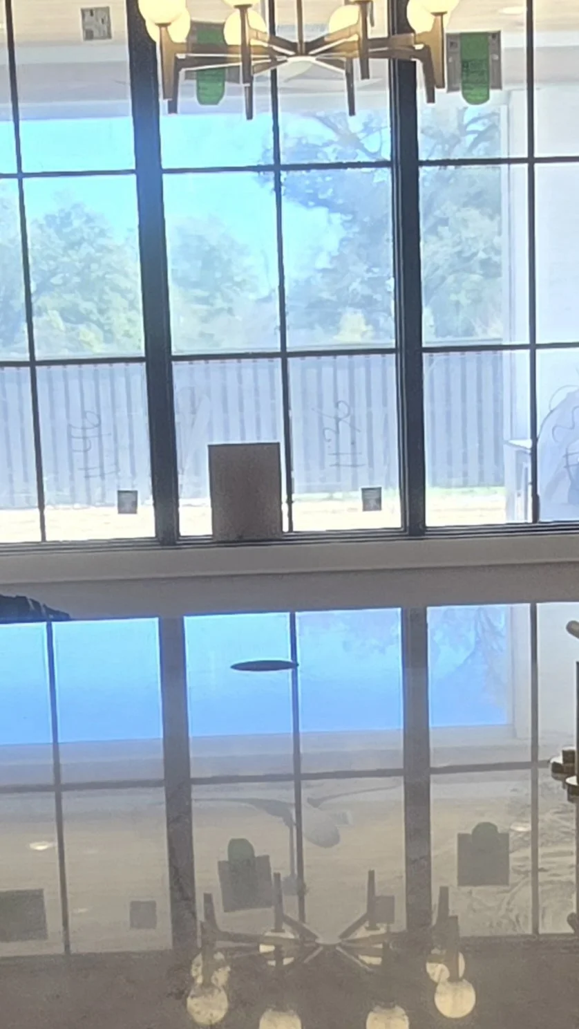 Photo of a large window with a grid pattern, overlooking a backyard with a wooden fence and trees. Inside, there is a chandelier hanging from the ceiling.