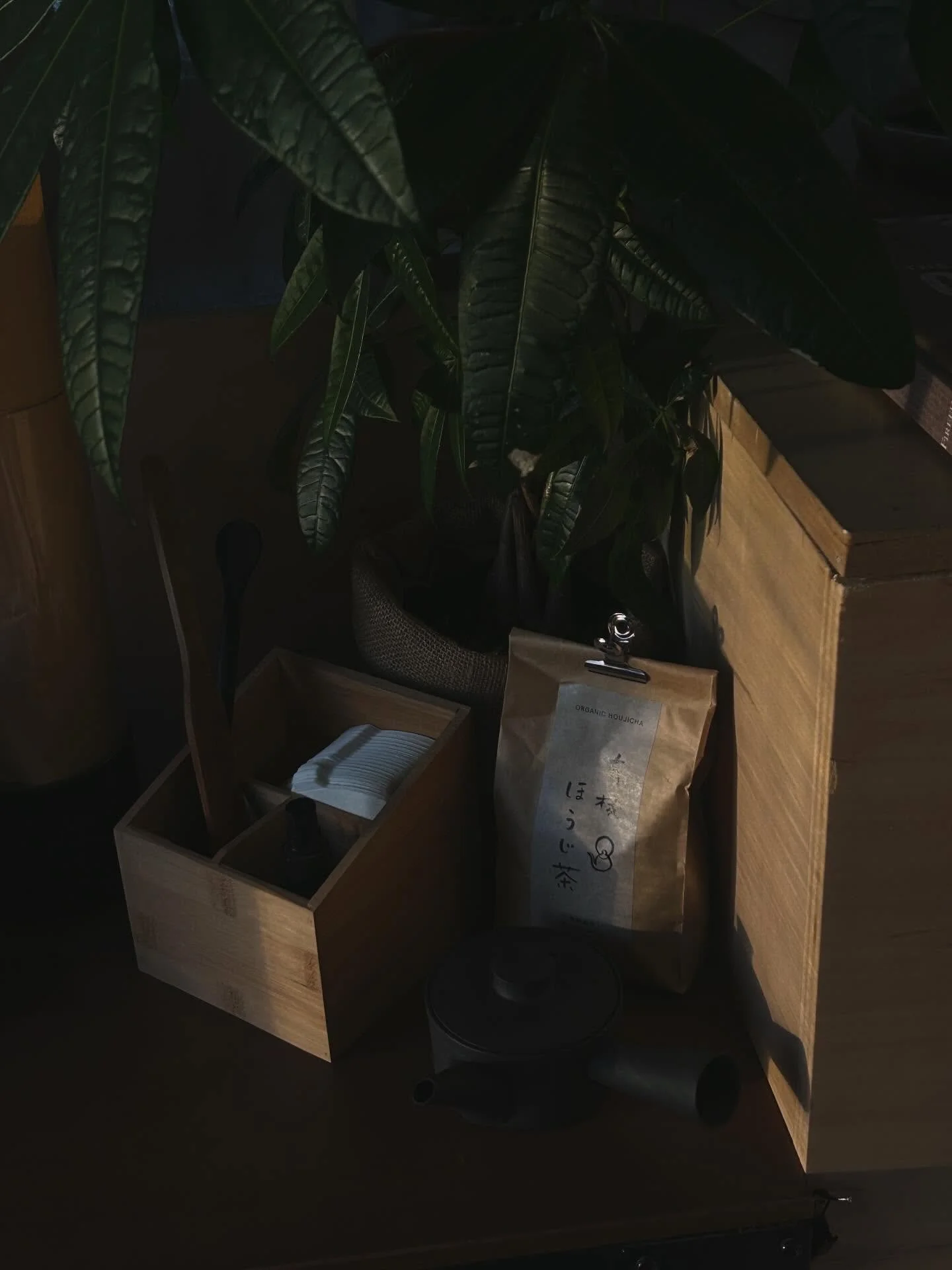 Ritual is a return&mdash;
to breath, to body, to presence.

In the quiet space between doing and being,
the body begins to remember.

Come as you are.
We&rsquo;ll begin there.

#ritual #slowliving #massage #tea #mindbodysoul