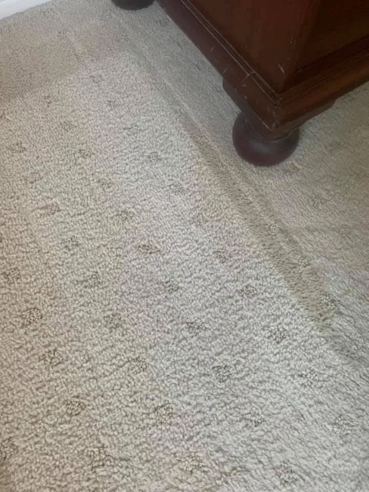 Gower_Carpet_ Cleaning_and_Restoration_Dubbo (3).jpg