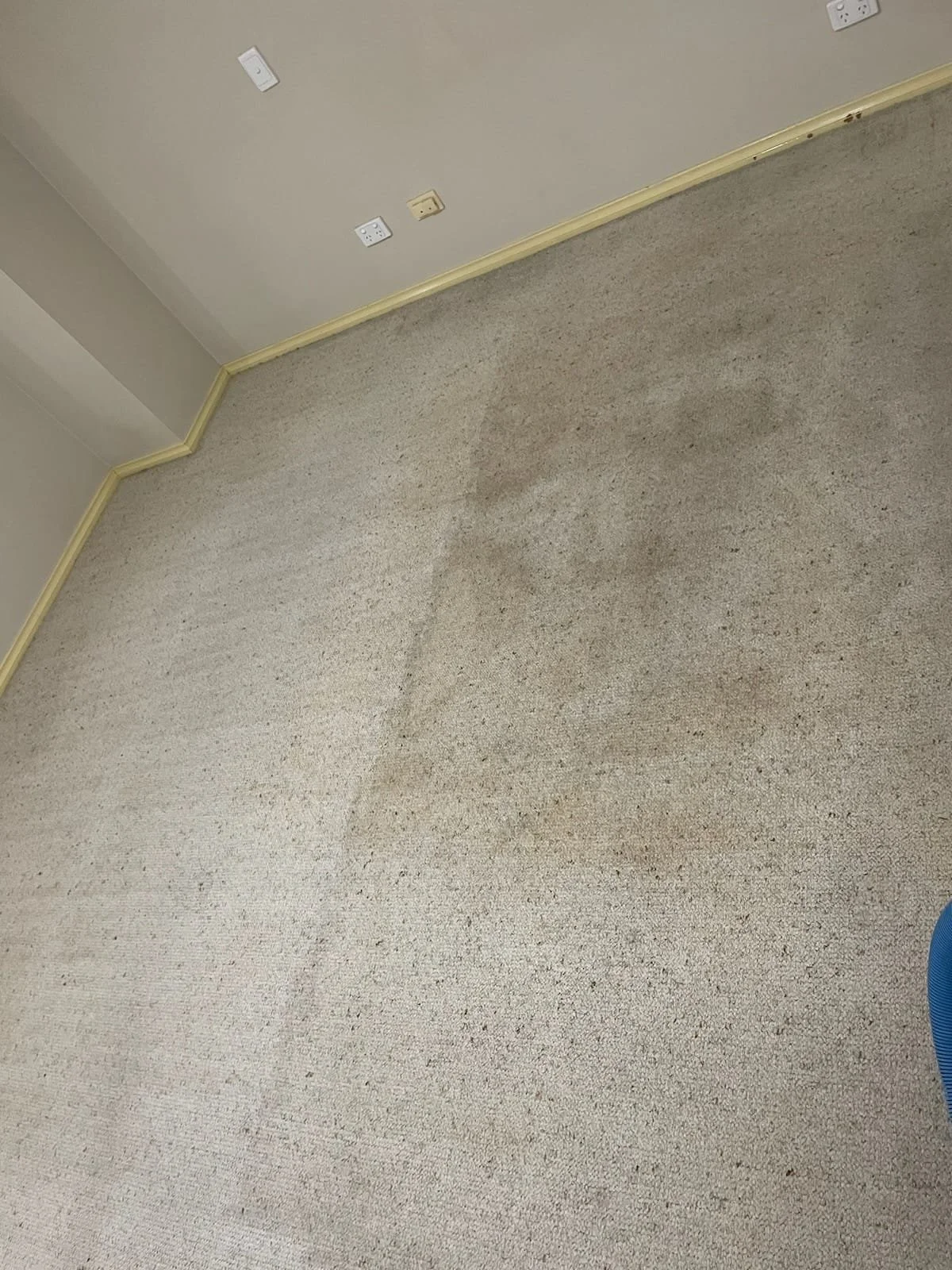 Gower_Carpet_ Cleaning_and_Restoration_Dubbo (1).jpg