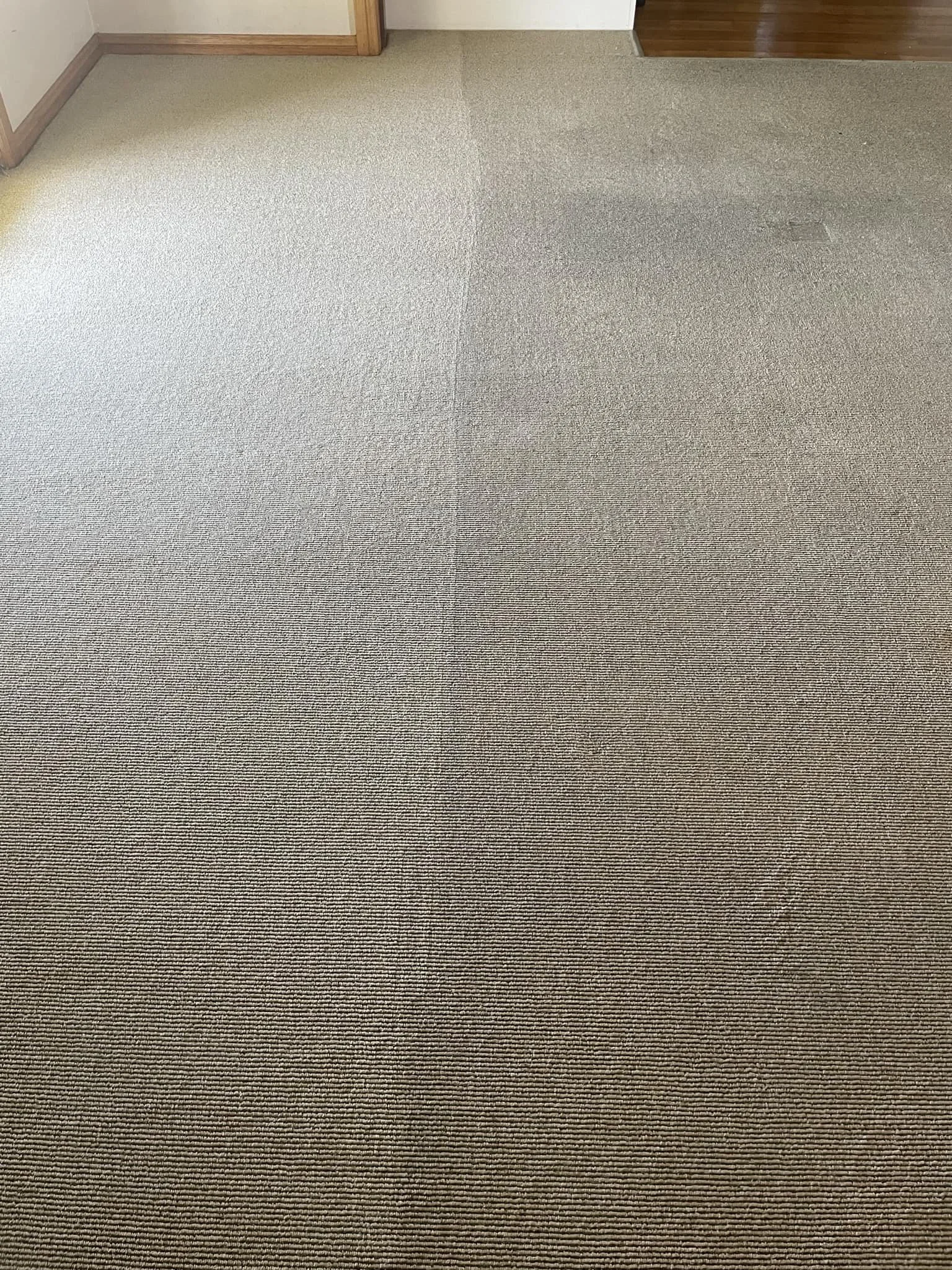 Gower_Carpet_ Cleaning_and_Restoration_Dubbo (12).jpg