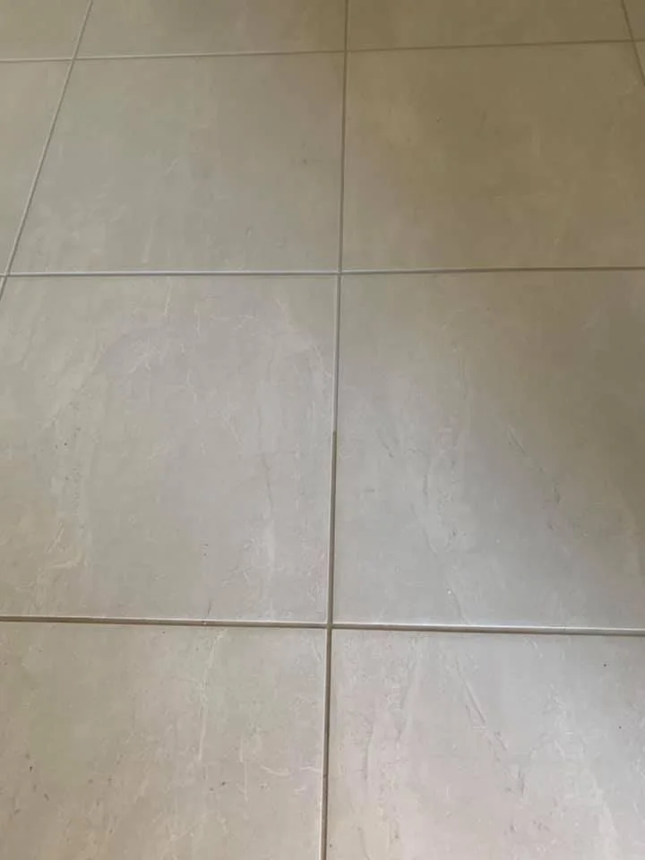 Gower_Carpet_ Cleaning_and_Restoration_Dubbo (2).jpg