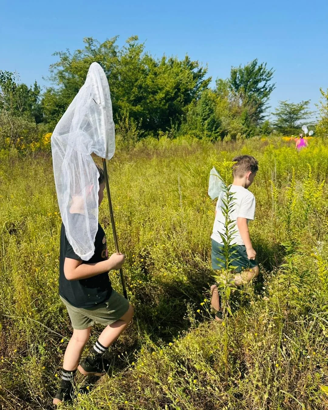 HeartLands Conservancy is one of  the most important organizations working in our region, and I don't think enough people know about them. 

They conserve farmland, wetlands, and waterways across southwestern Illinois, including right here in Madison