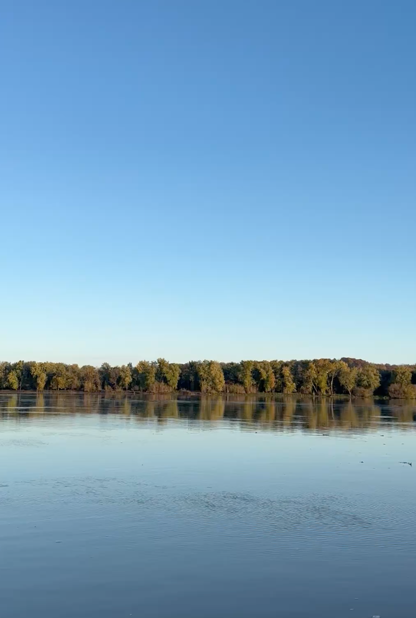 Screen Shot 2026-02-13 at 11.55.03 AM.png