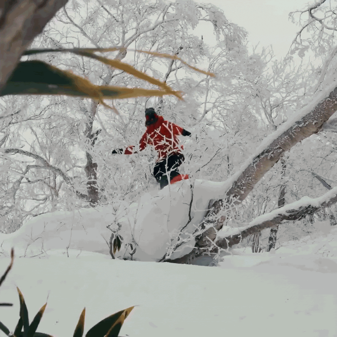 JAPAN AIRLINES X BURTON 'BOARDING PASS'