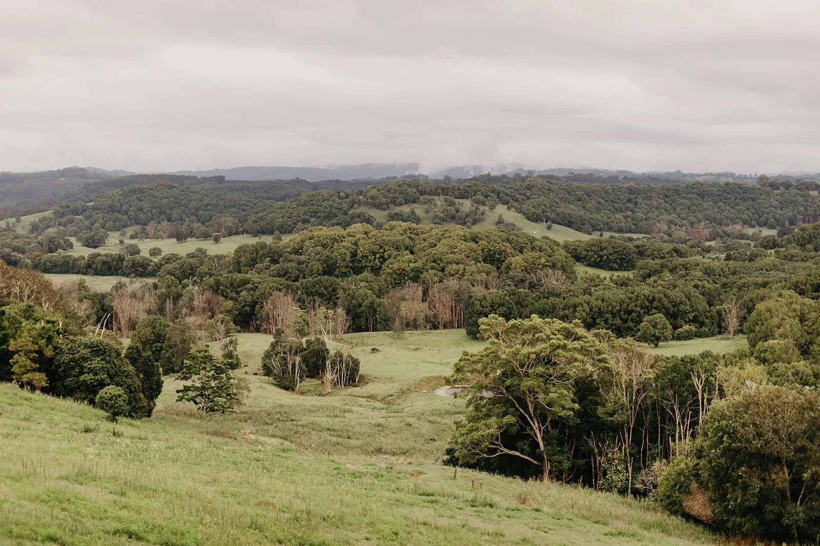 Laura & Richard - Earth House | Creative Weddings Byron Bay