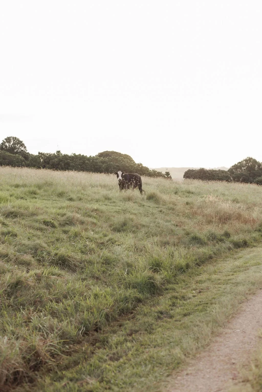 80.webp