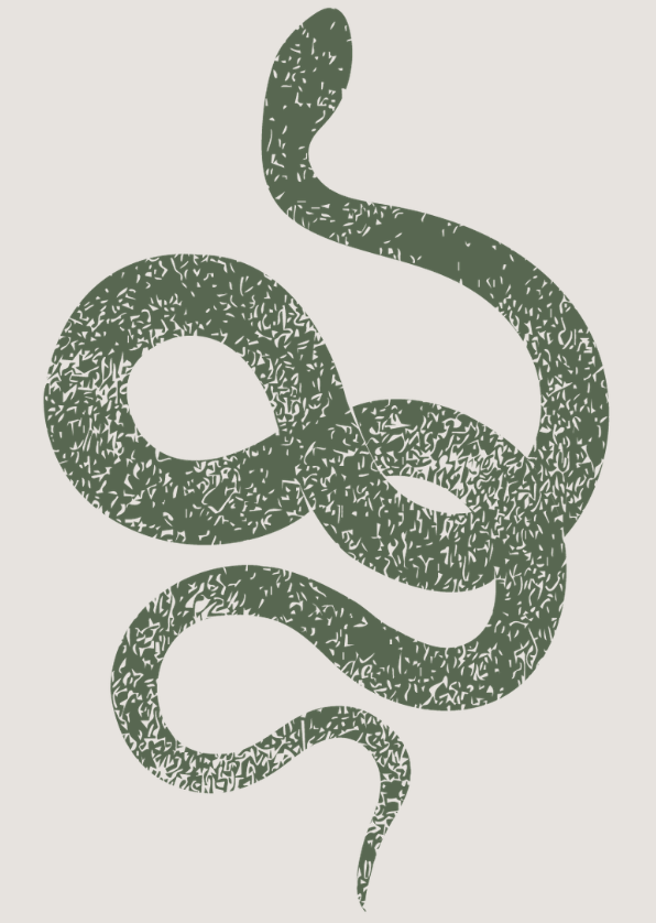 Illustration of a green snake with a textured pattern on a light background.