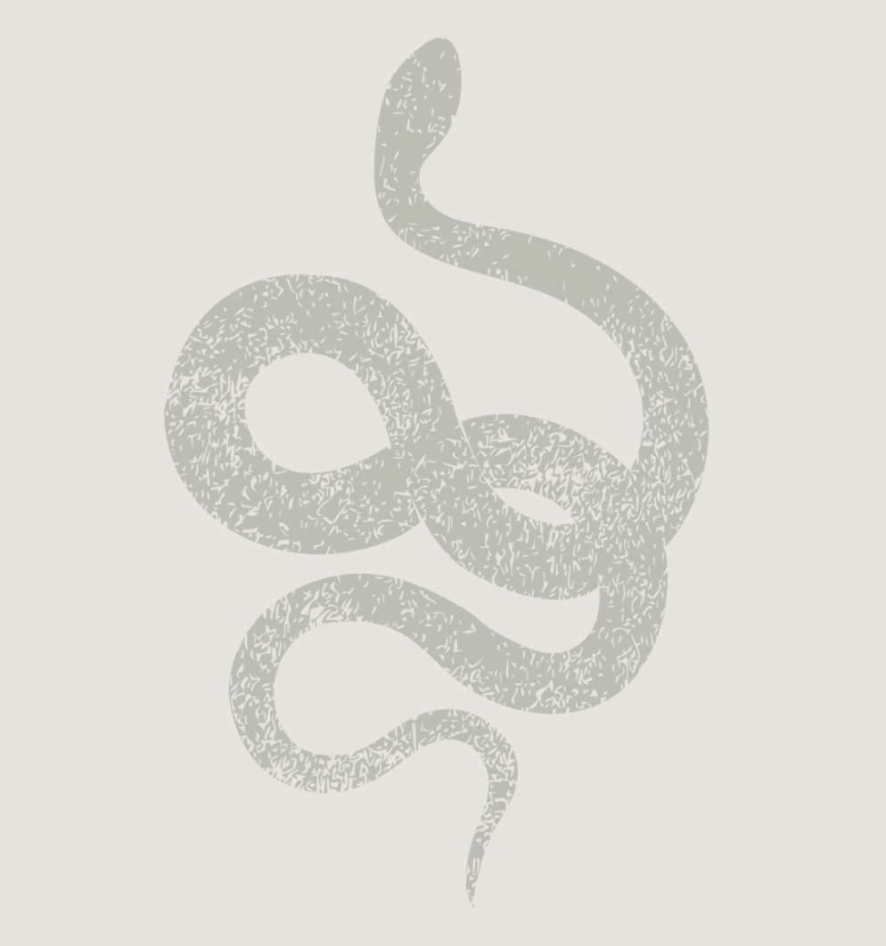A minimalist, stylized illustration of a snake in light gray on a white background.
