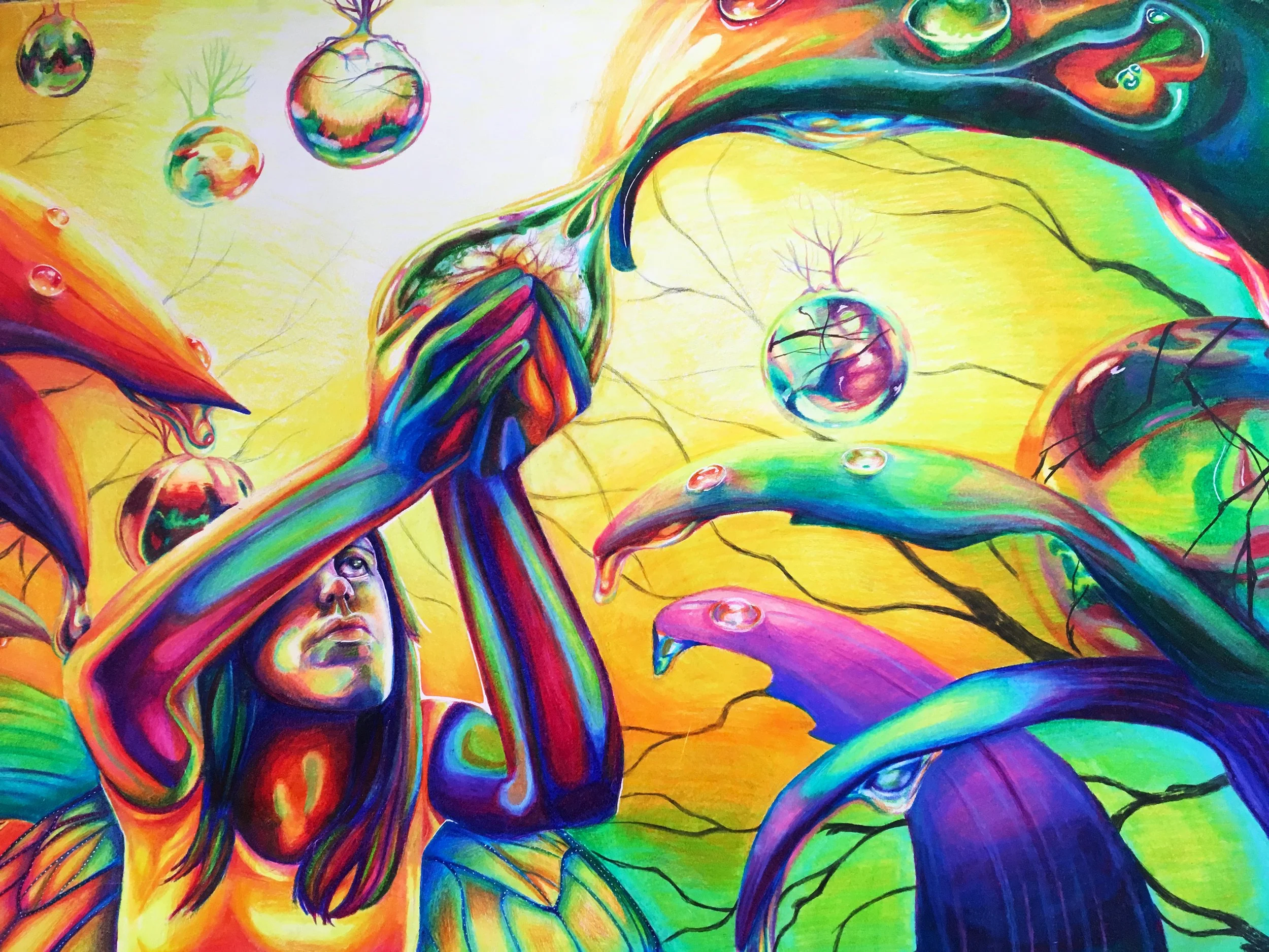 Catching a Dewdrop - 2012, Colored Pencil on Paper, 18” x 24”