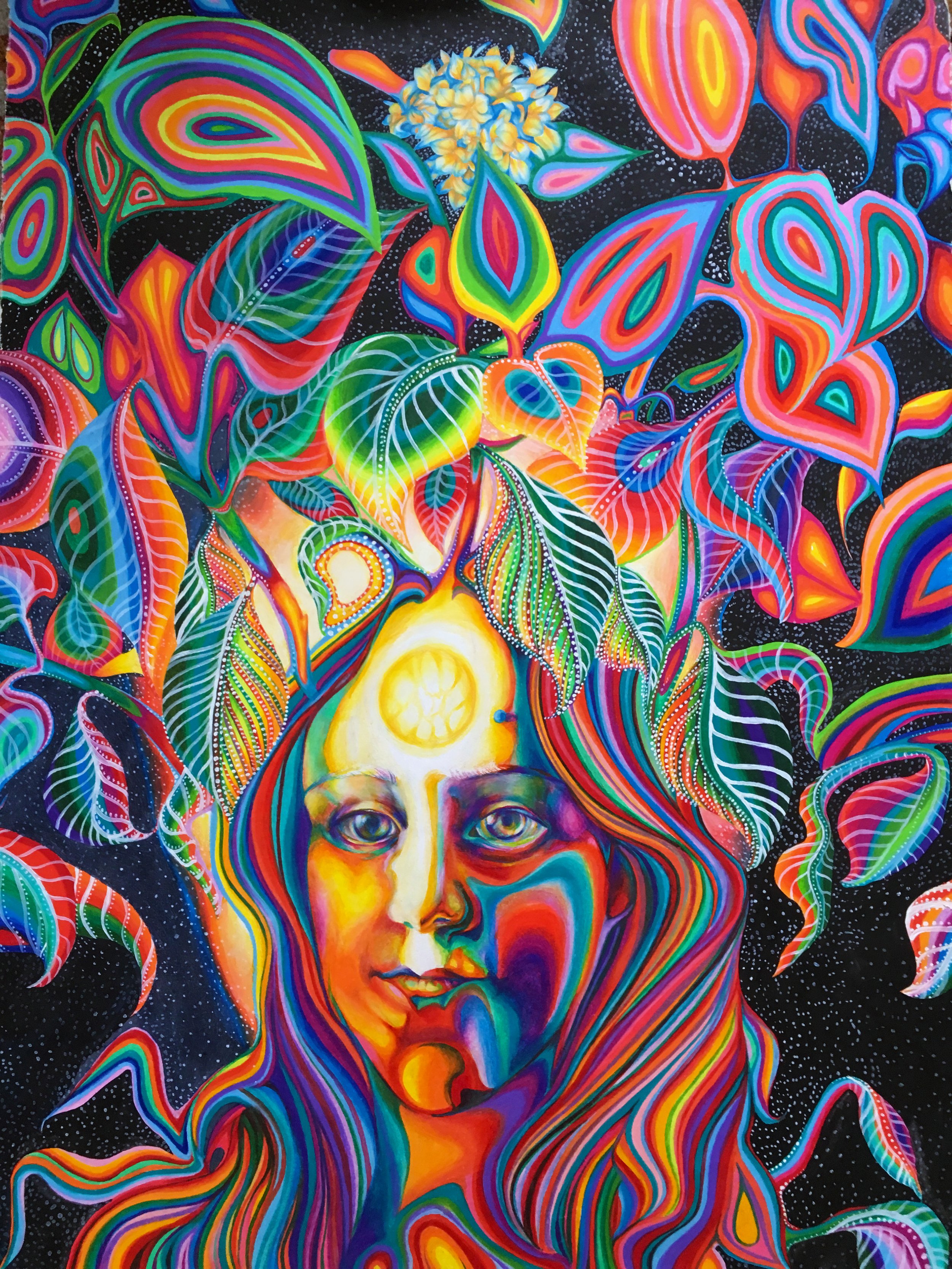 Wisdom Beyond Your Leaves - 2015, Colored Pencil and Acrylic on Paper, 36” x 24”