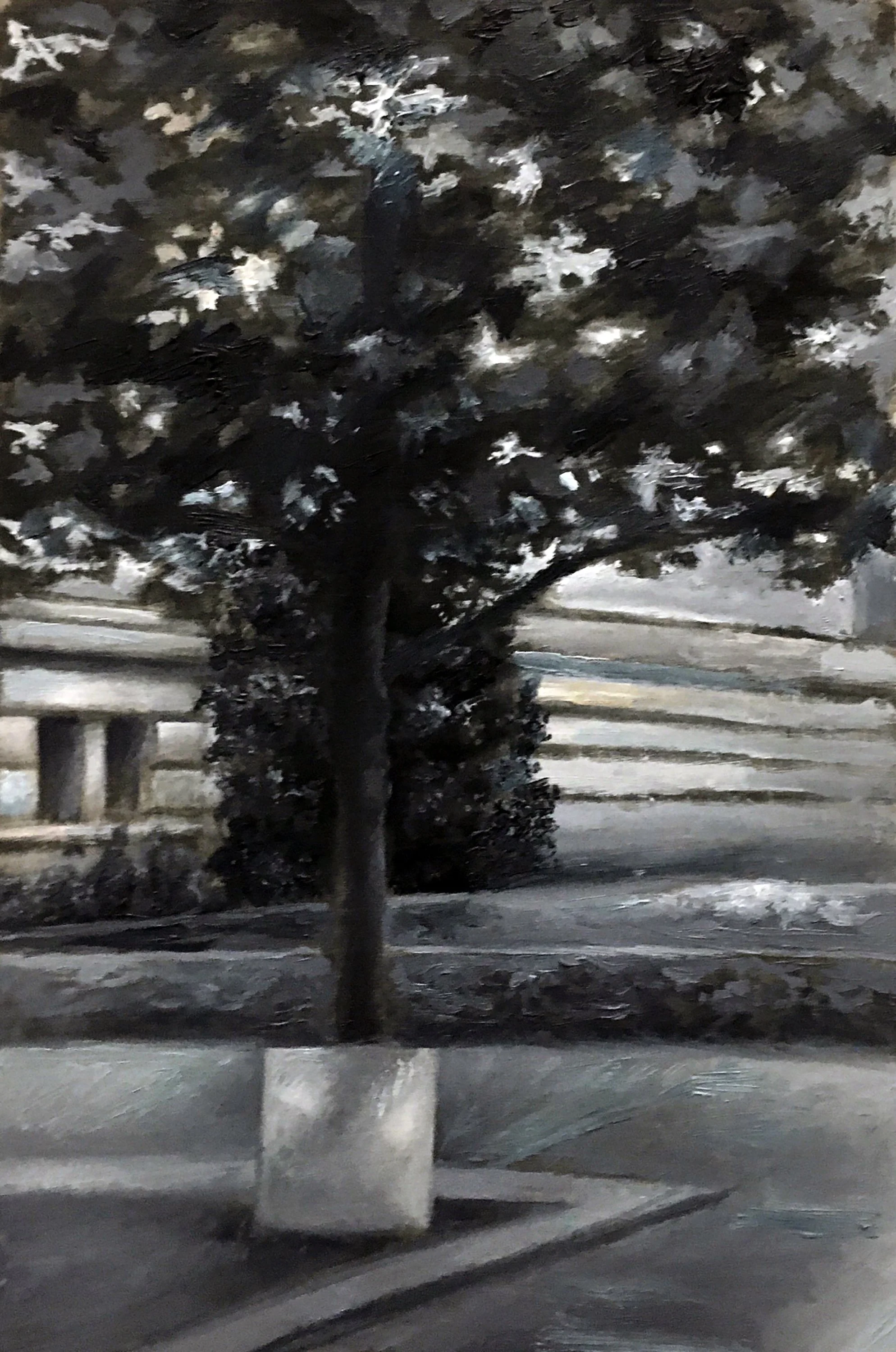 Tree - 2020,
Oil on Gessoed Paper, 6” x 8”