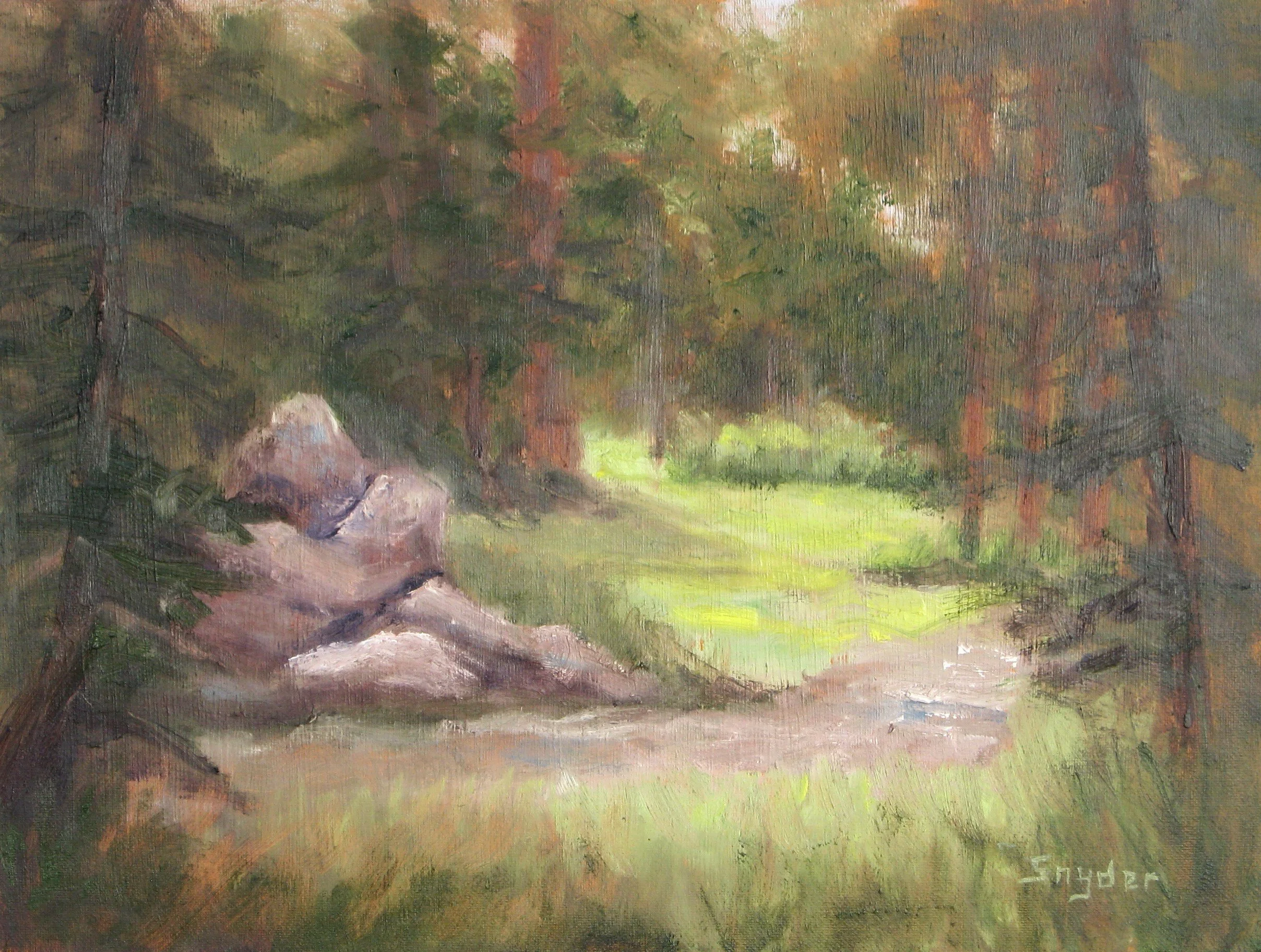 Forest Walk, Evergreen, by Valorie Snyder.jpg