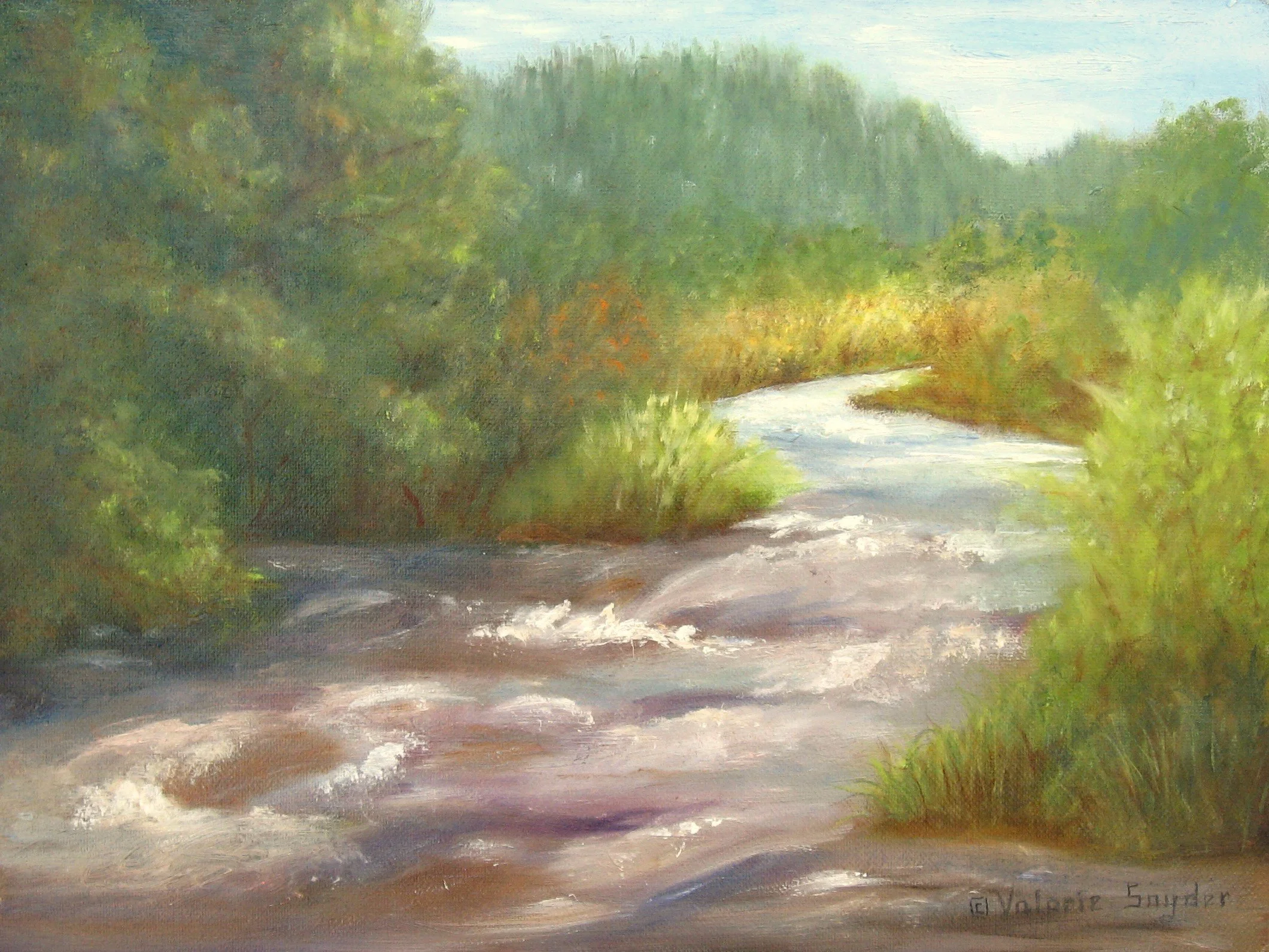 Wild and Remote by Valorie Snyder.jpg