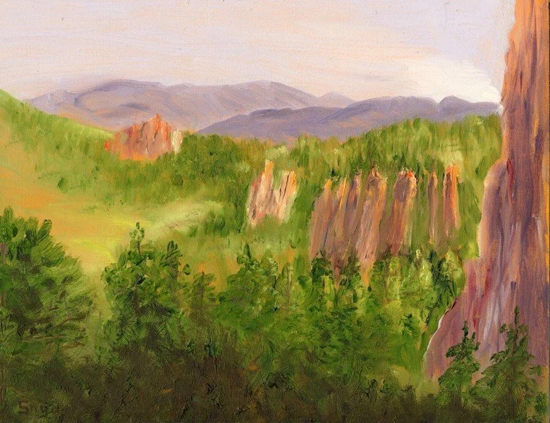 Rock Garden by Valorie Snyder.jpg