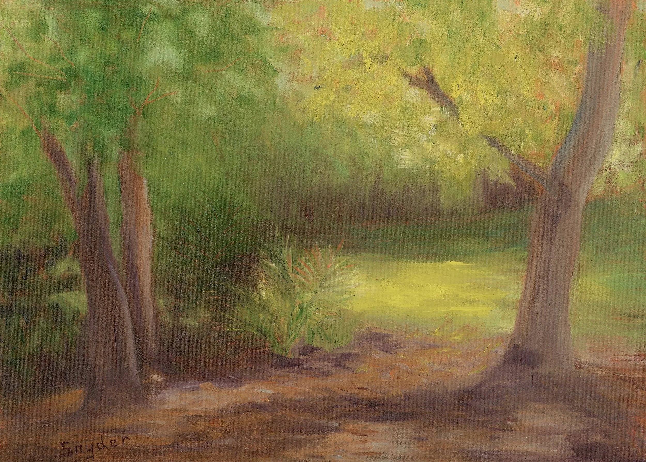Forest Glade by Valorie Snyder.jpg