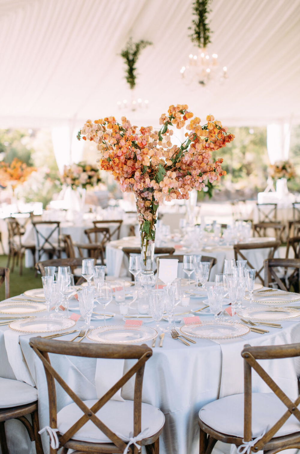 Screenshot 2026-03-26 at 11.09.16 AM.png