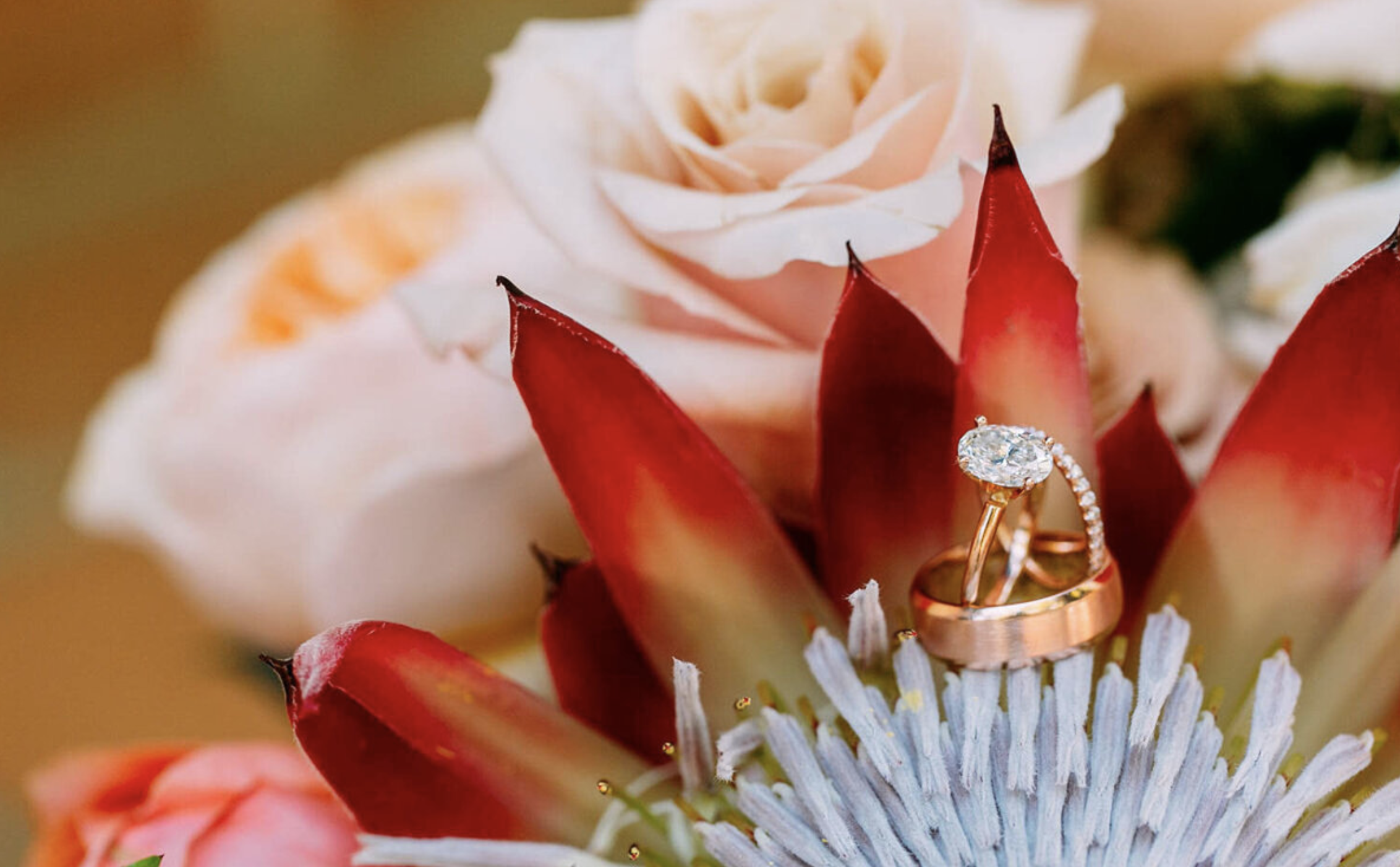 Screenshot 2026-03-26 at 11.10.56 AM.png