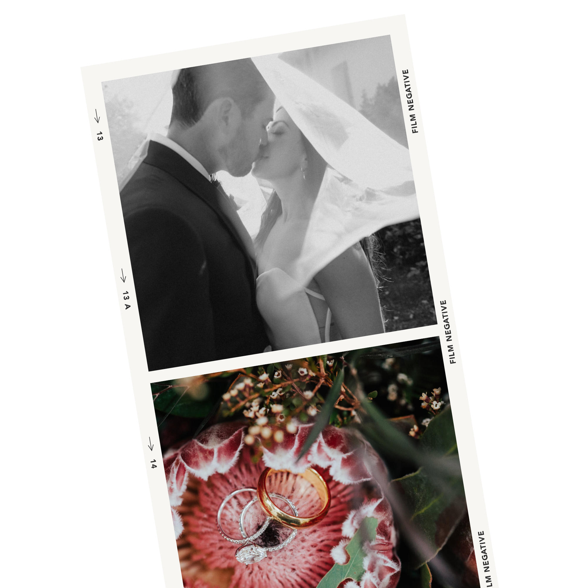 A collage of two wedding photos. The first is a black and white photo of a bride and groom sharing a kiss under a sheer veil. The second photo shows three wedding rings resting on a pink and green flower.