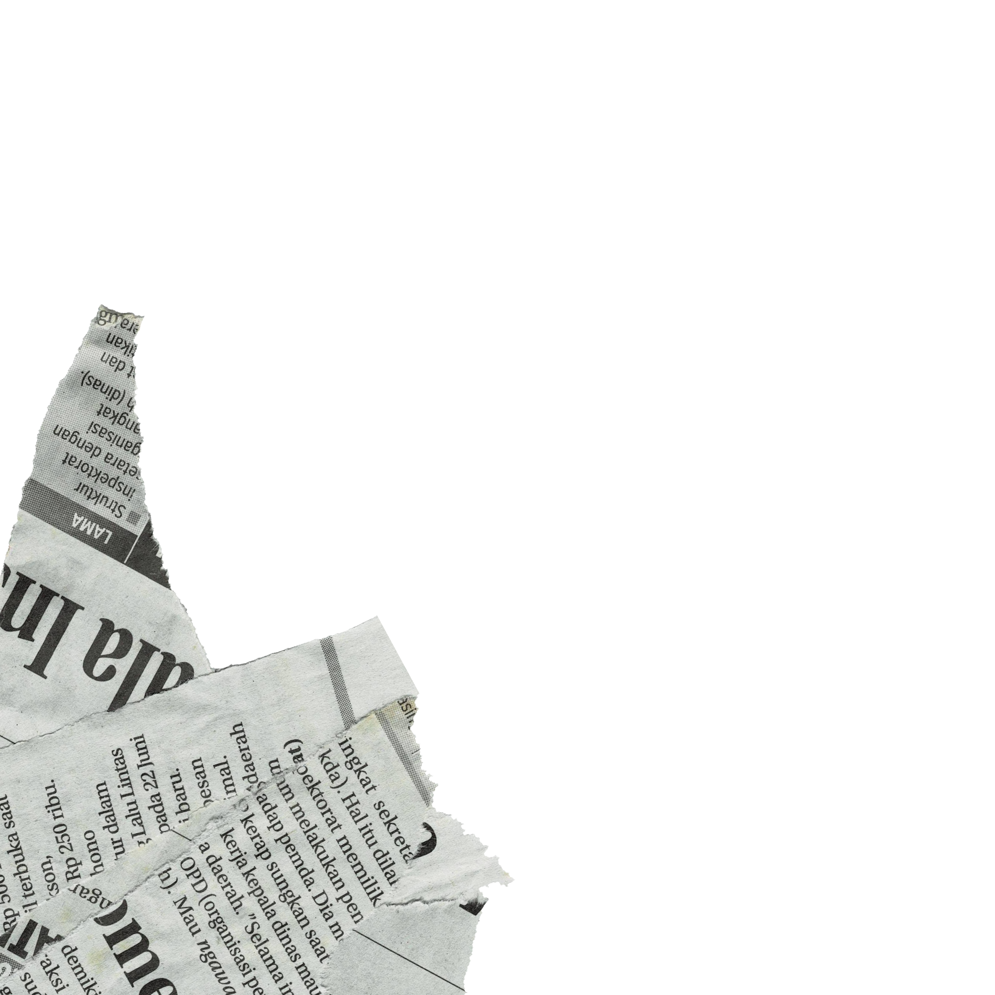 A torn piece of newspaper with text and a black silhouette of a cat. The cat's head and tail are visible, and the newspaper appears to be in a foreign language.